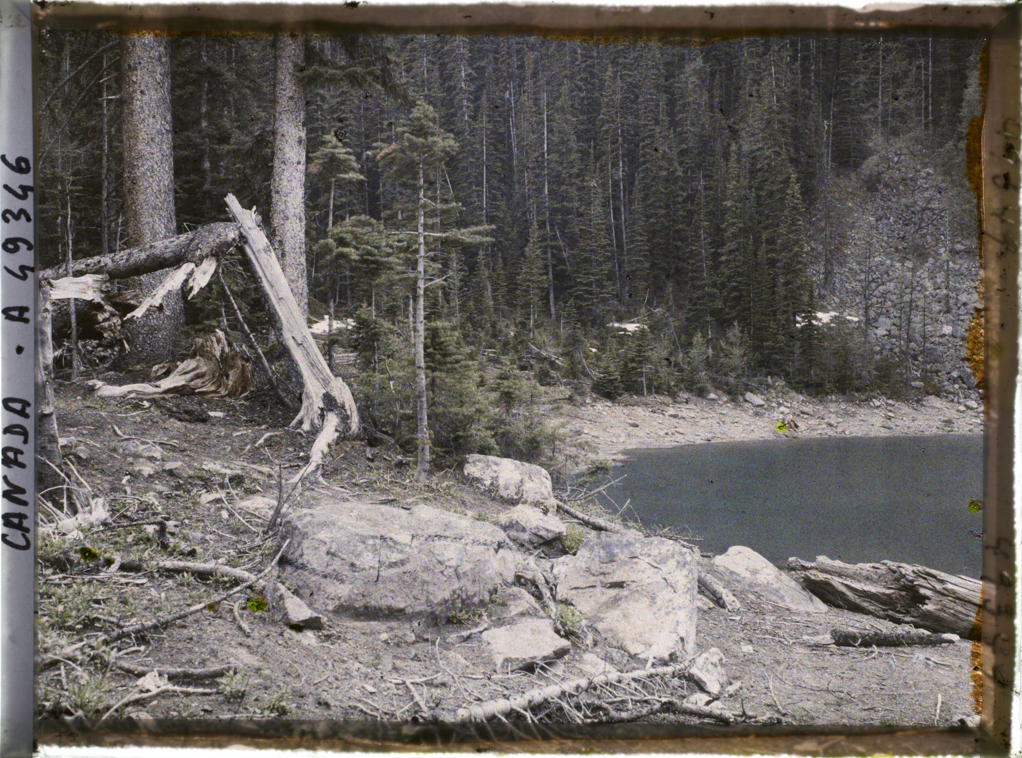 Image représentant Canada, Lac Louise, Une vue s/ le lac à travers les arbres