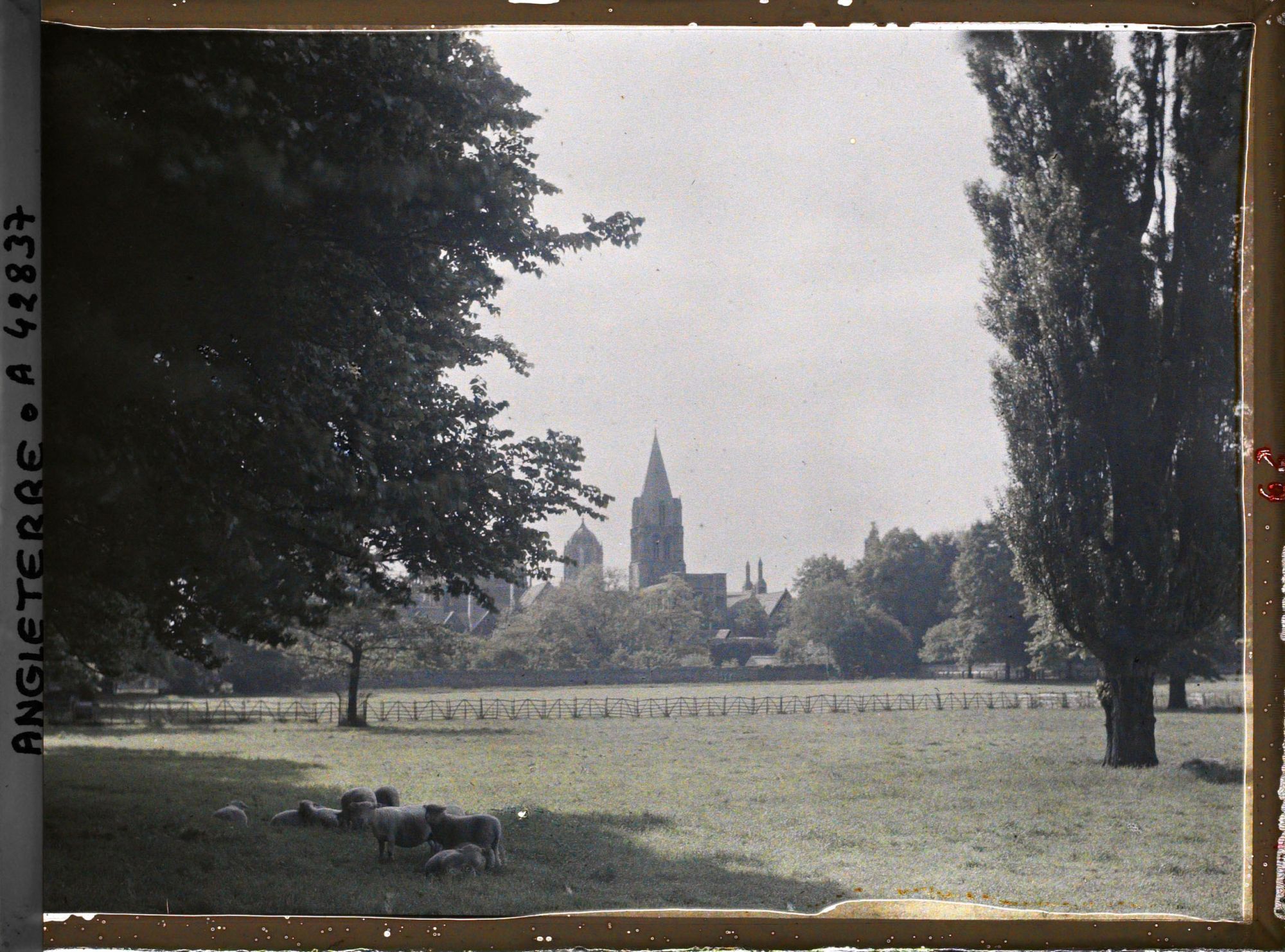 Image représentant Une partie de Merton College vu depuis Merton field