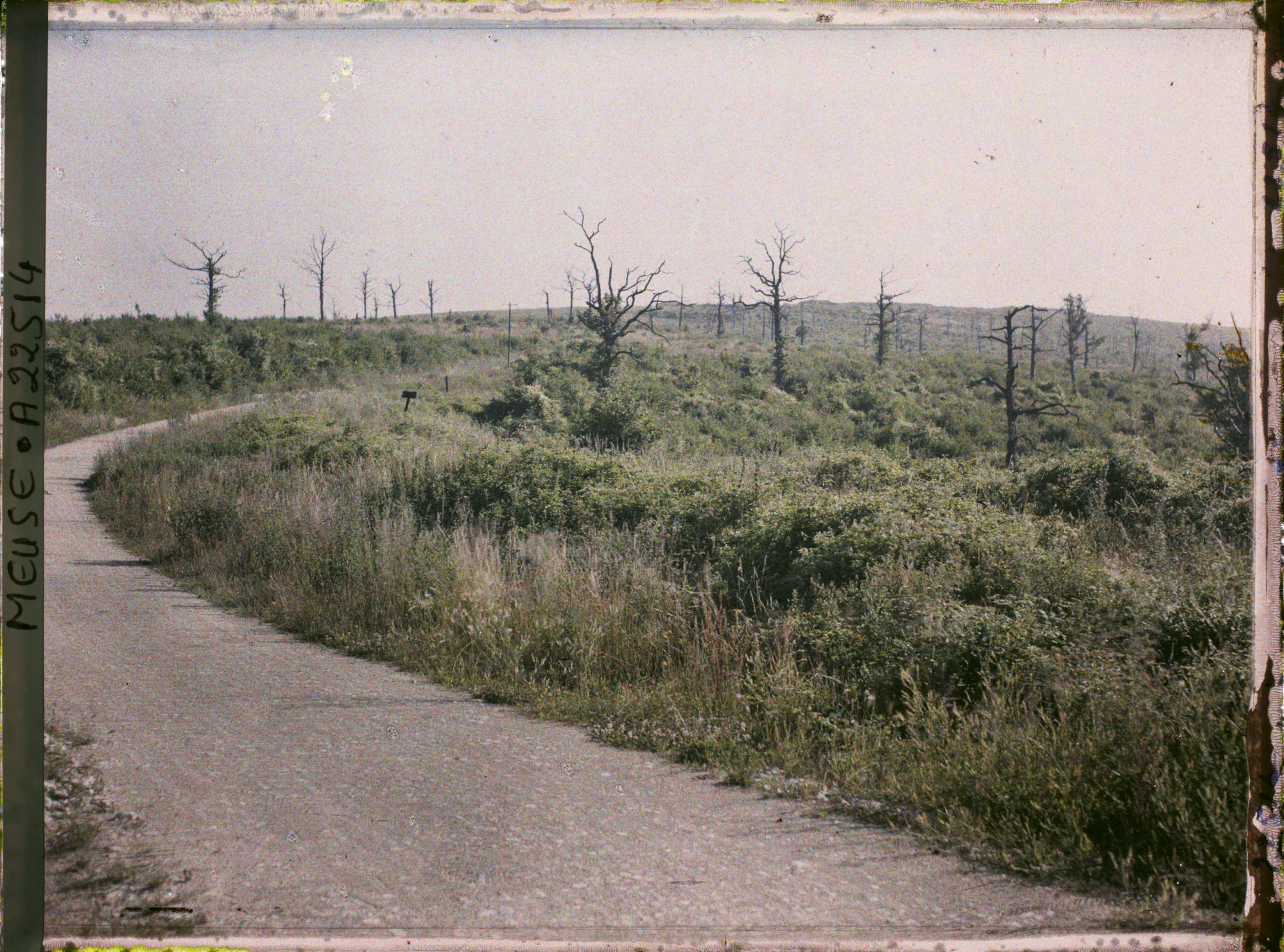 Image représentant France, Fort de Souville, Le fort de Souville vu des Cotes de Belleville