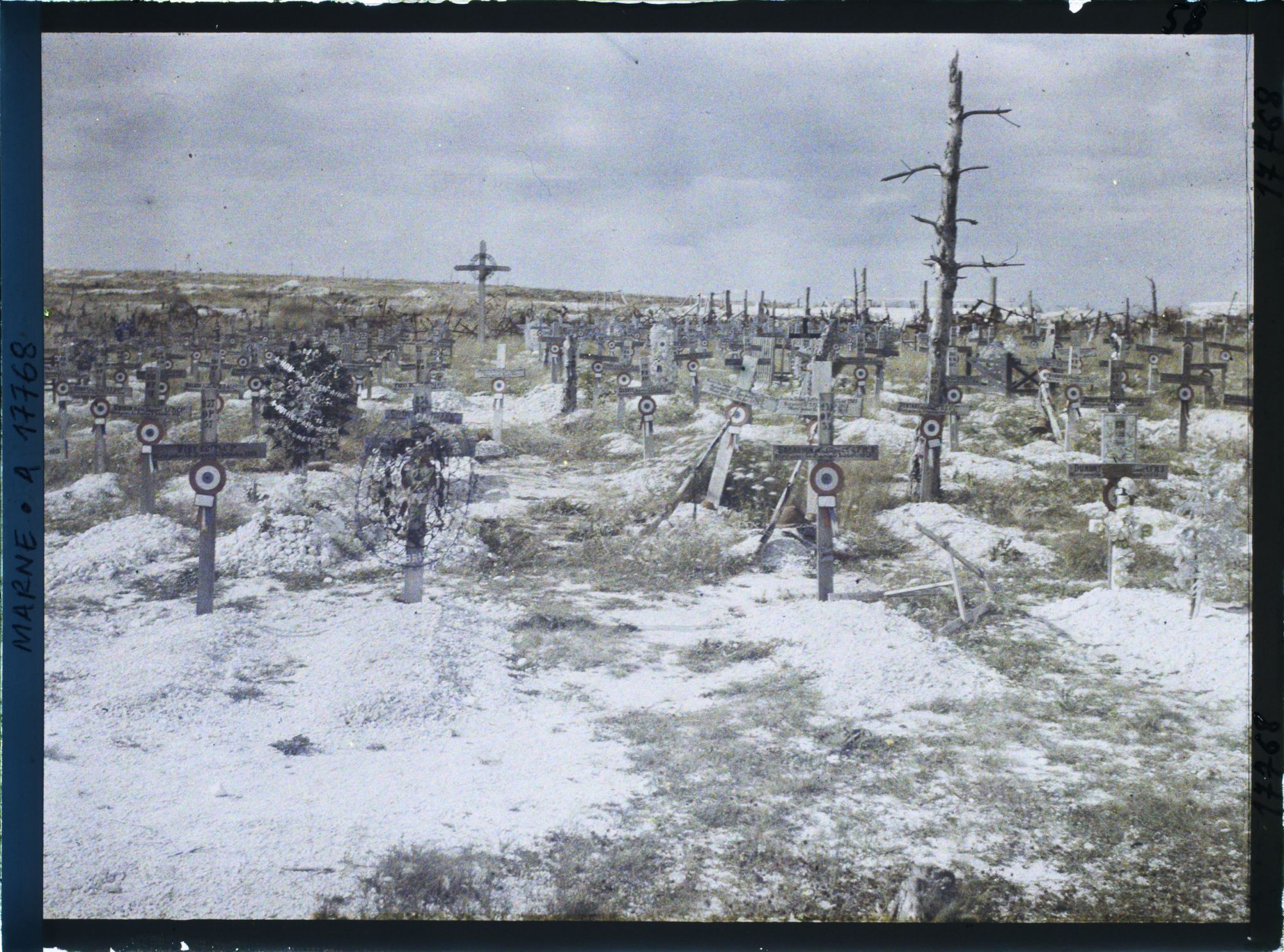 Image représentant France, Mt Muret, Le Cimetière du Mont Muret