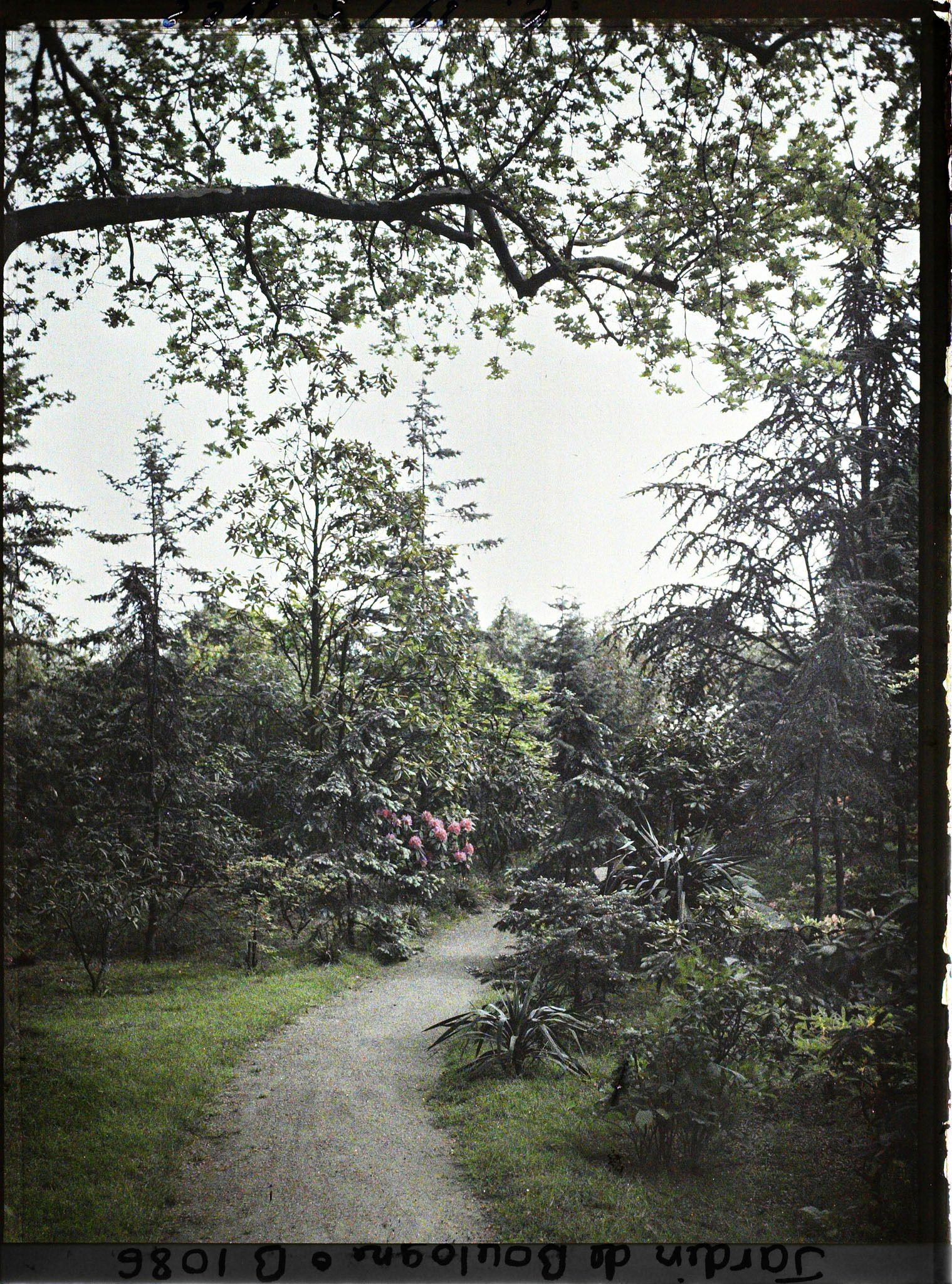 Image représentant Chemin menant vers le marais