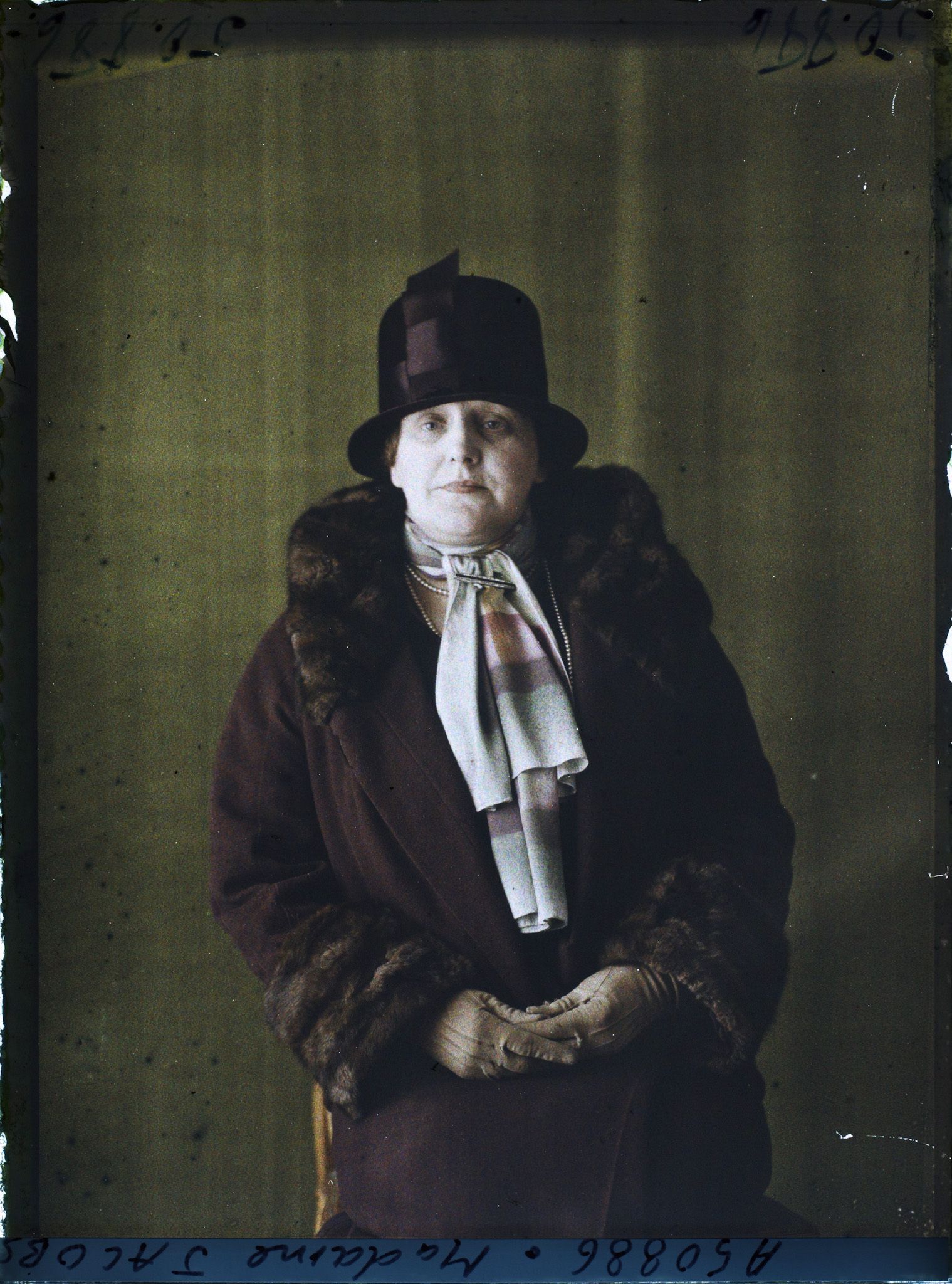 Image représentant Madame Jacobs