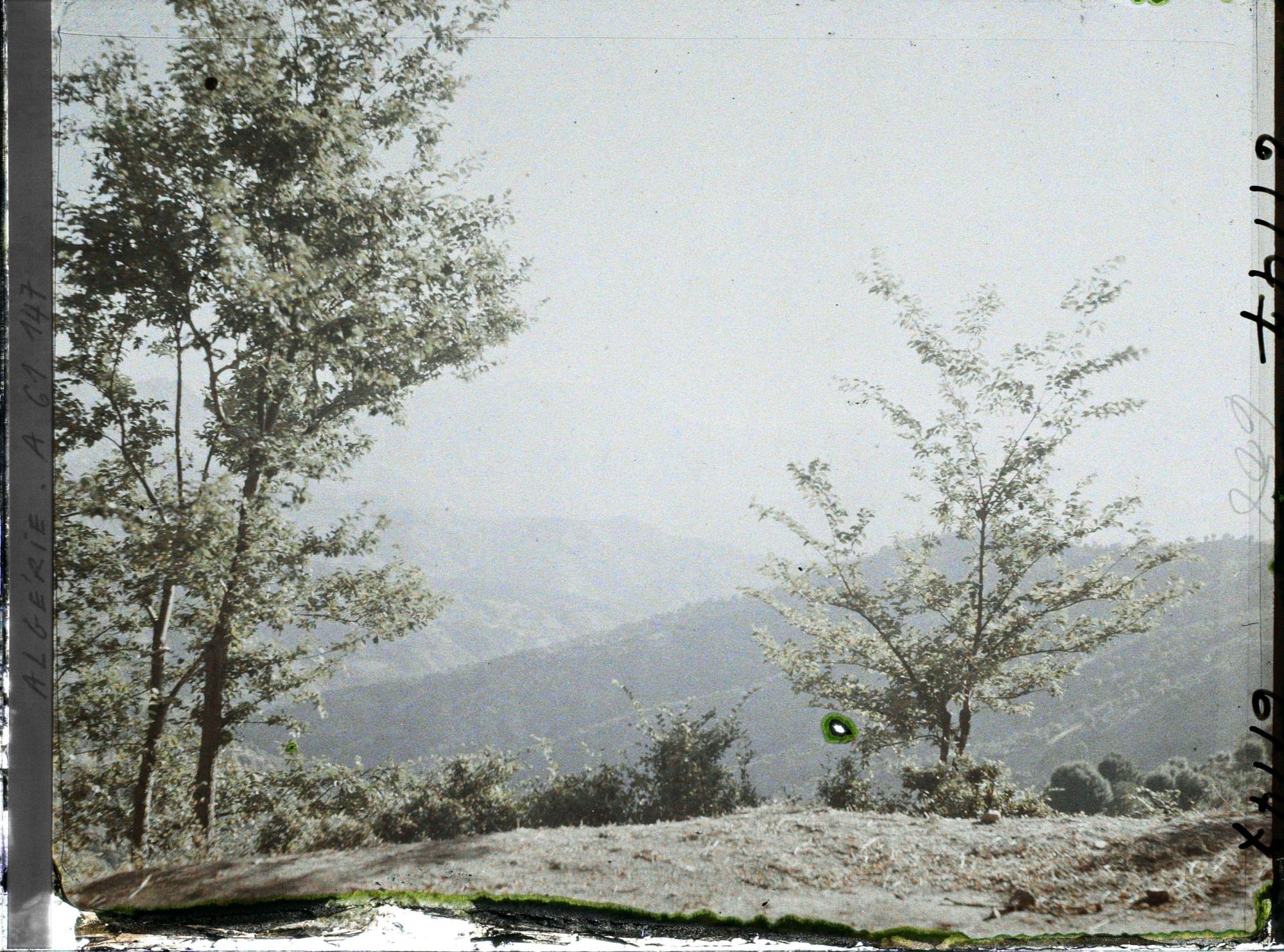 Image représentant Vue de la chaîne du Djurdjura