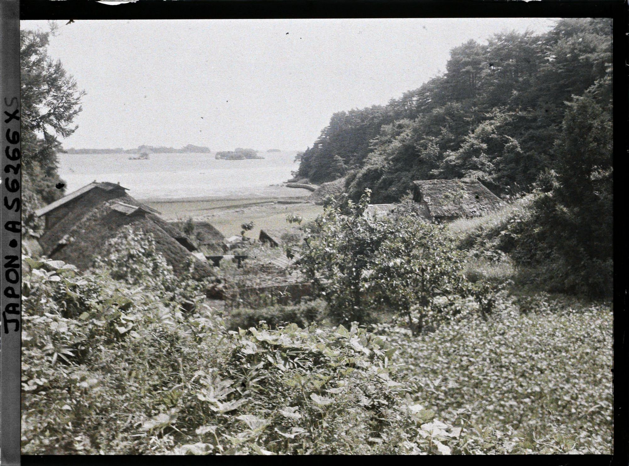 Image représentant La baie de Matsushima, vue d'un village juste au sud de l'île Oshima