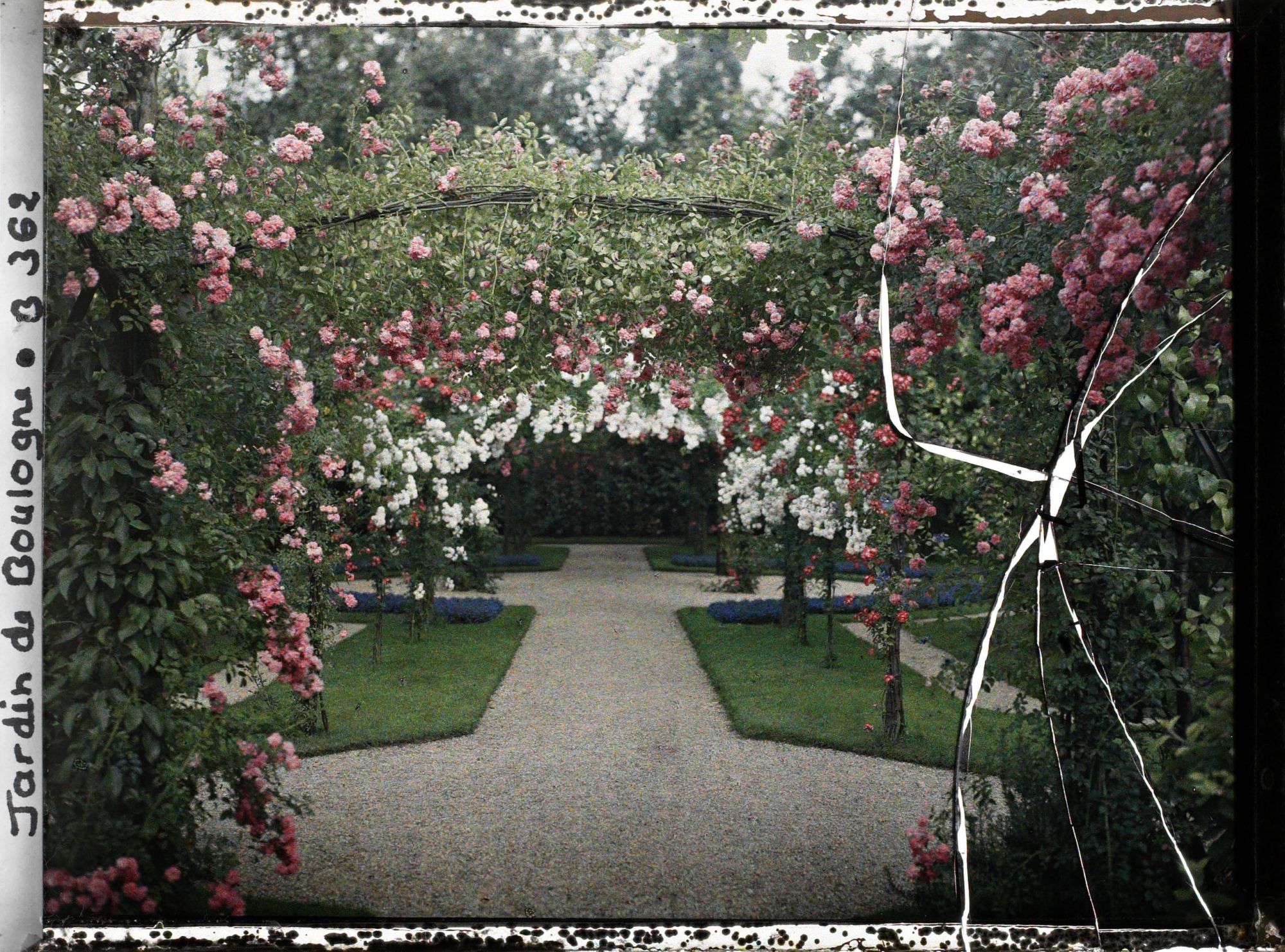 Image représentant Axe central du verger-roseraie vu depuis le second carrefour avant la dépendance