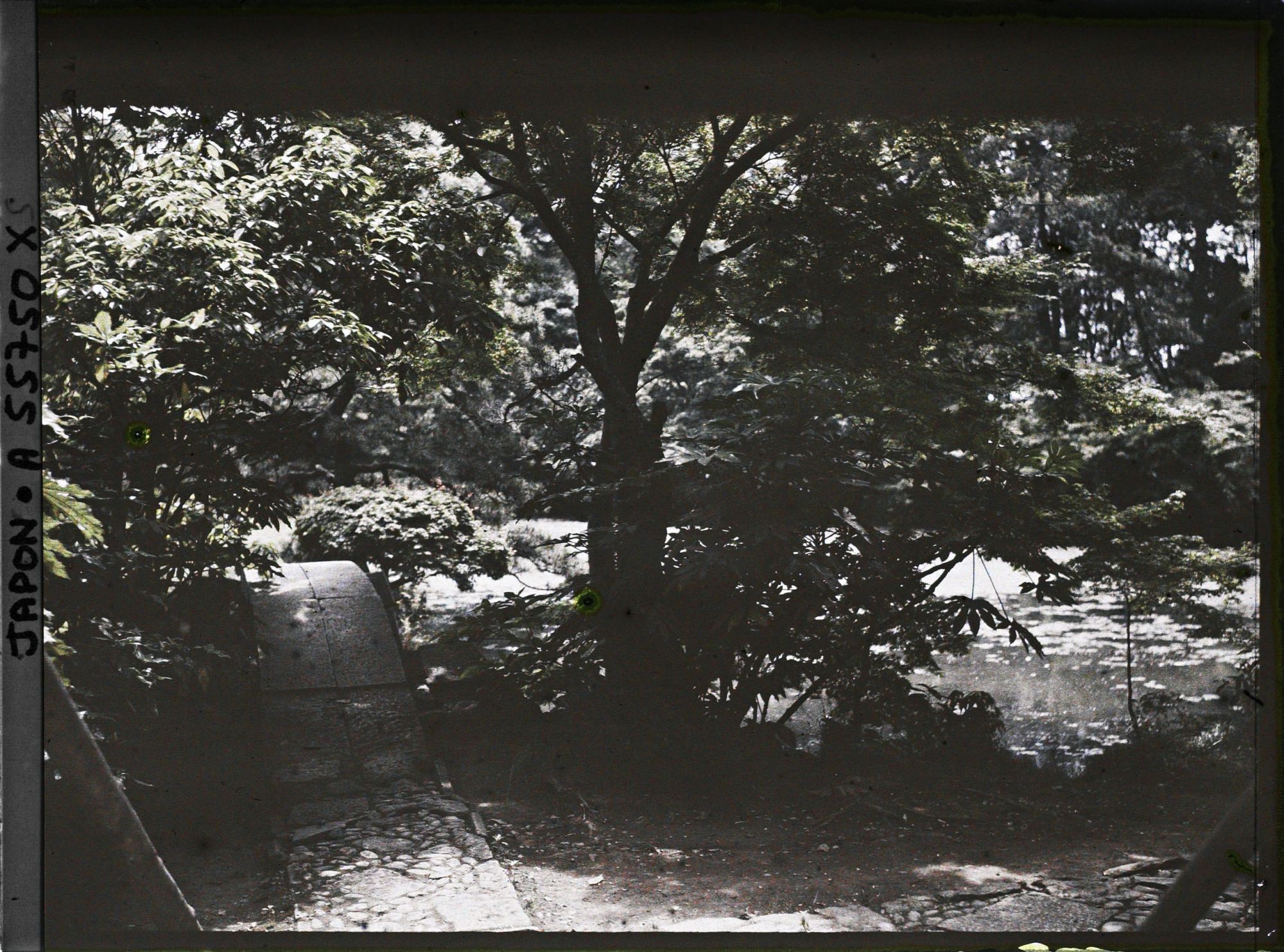 Image représentant Koishikawa Kôrakuen (jardin de l'Arsenal), pont du Naitei (jardin intérieur)