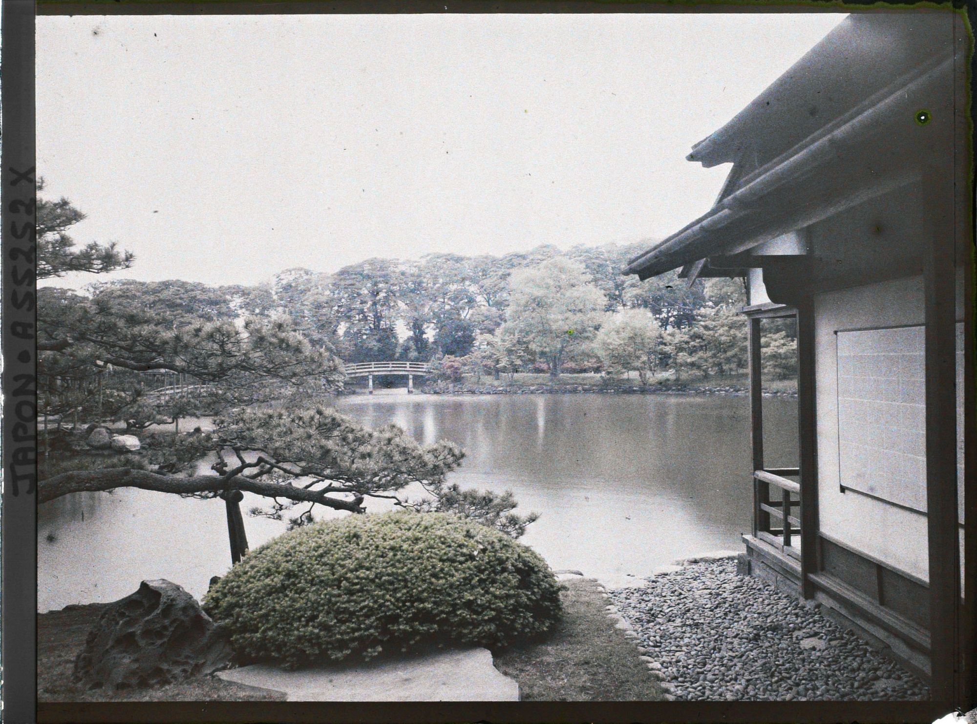 Image représentant Jardin Hama-rikyû koen