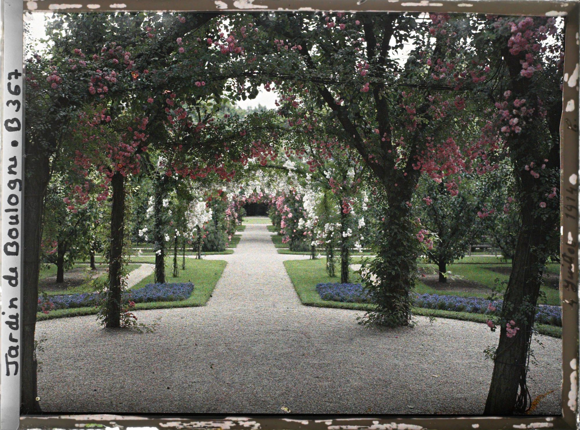 Image représentant Axe central du verger-roseraie vu en direction du jardin anglais depuis le rond-point côté dépendance