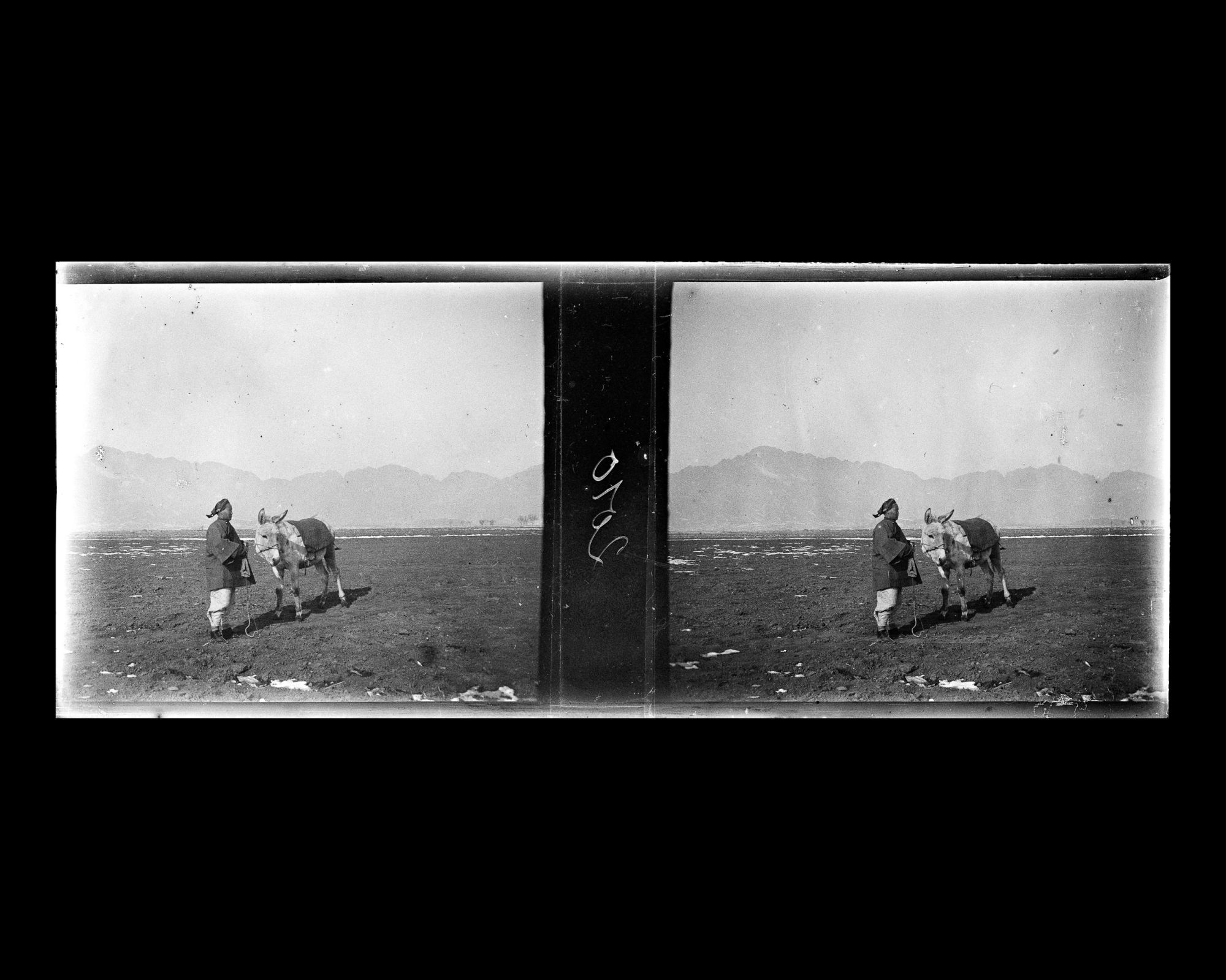 Image représentant Une femme et un âne