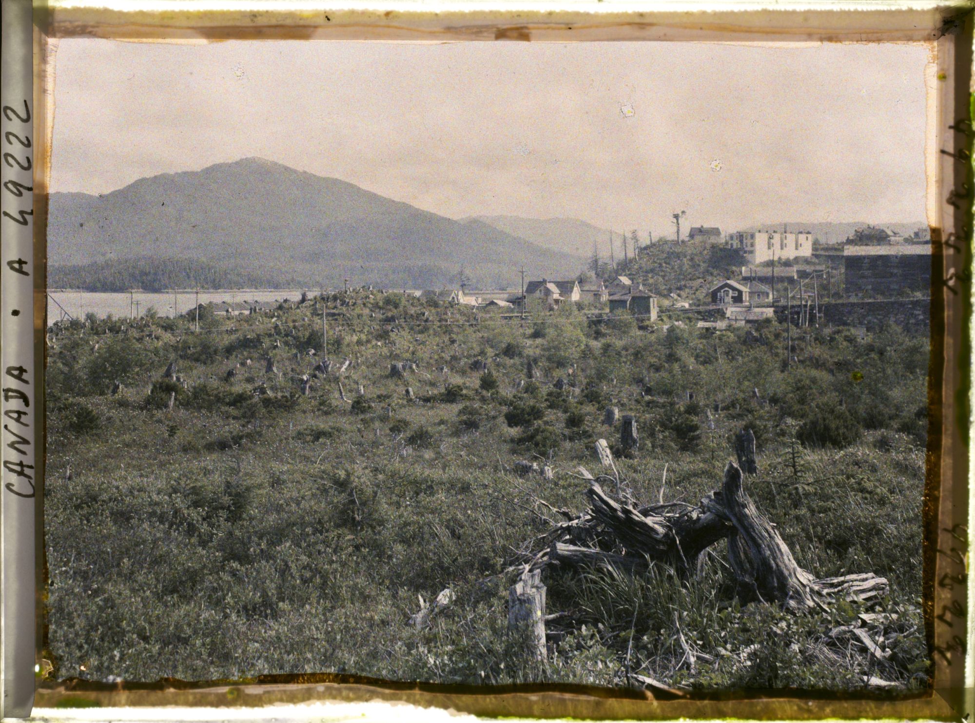 Image représentant Canada, Prince Rupert, Vue montrant défrichement pour construire ville