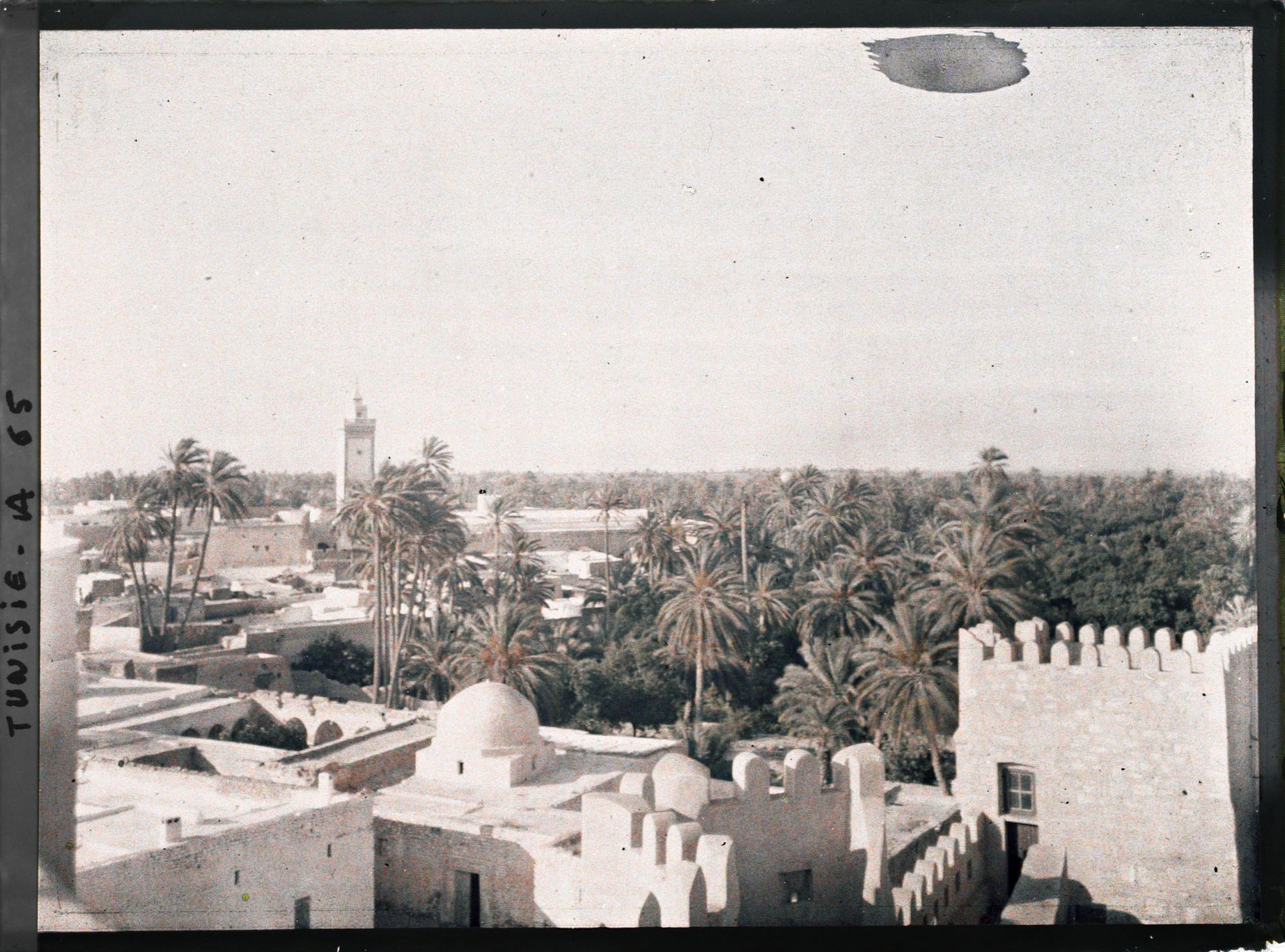 Image représentant Vue sur l'oasis, prise depuis la casbah