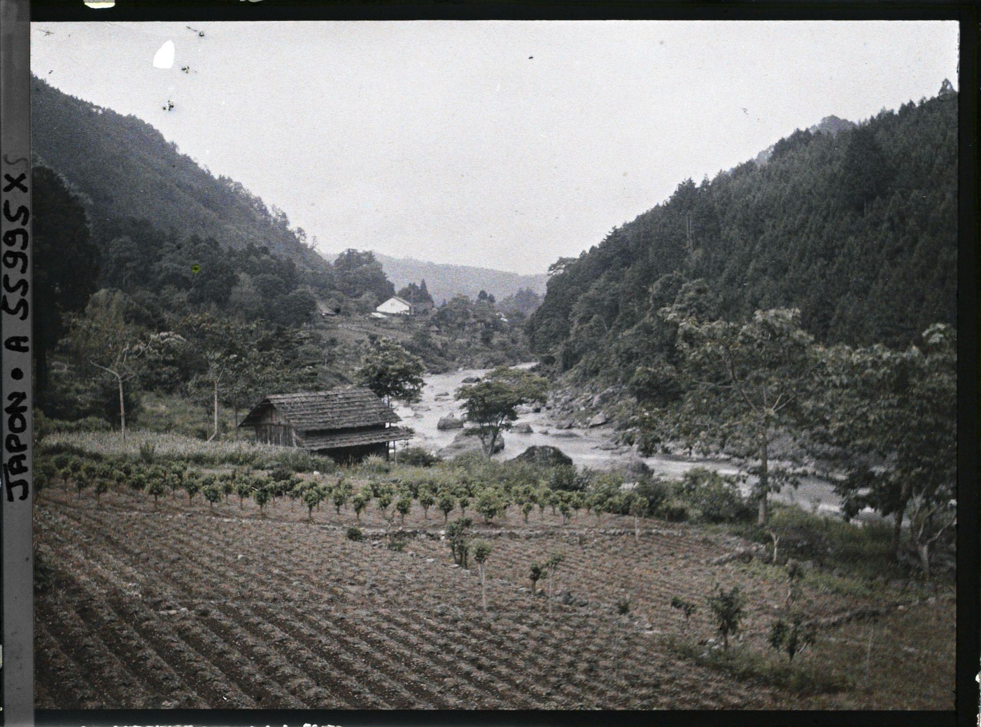 Image représentant Vue probable de la vallée de la Tamagawa
