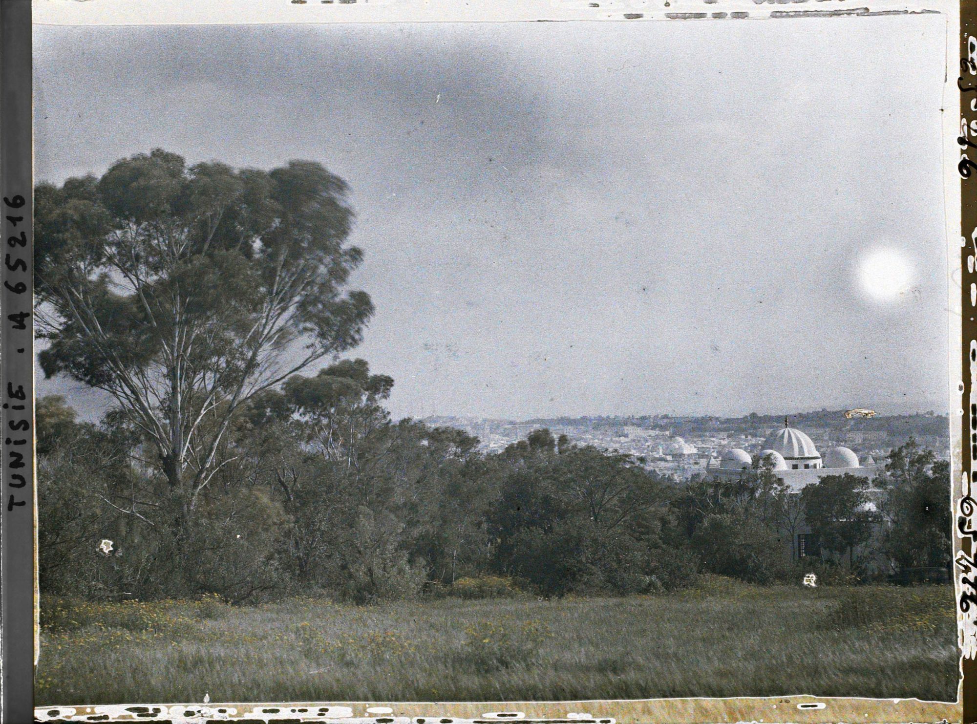Image représentant Vue de Tunis, prise depuis le parc du Belvédère