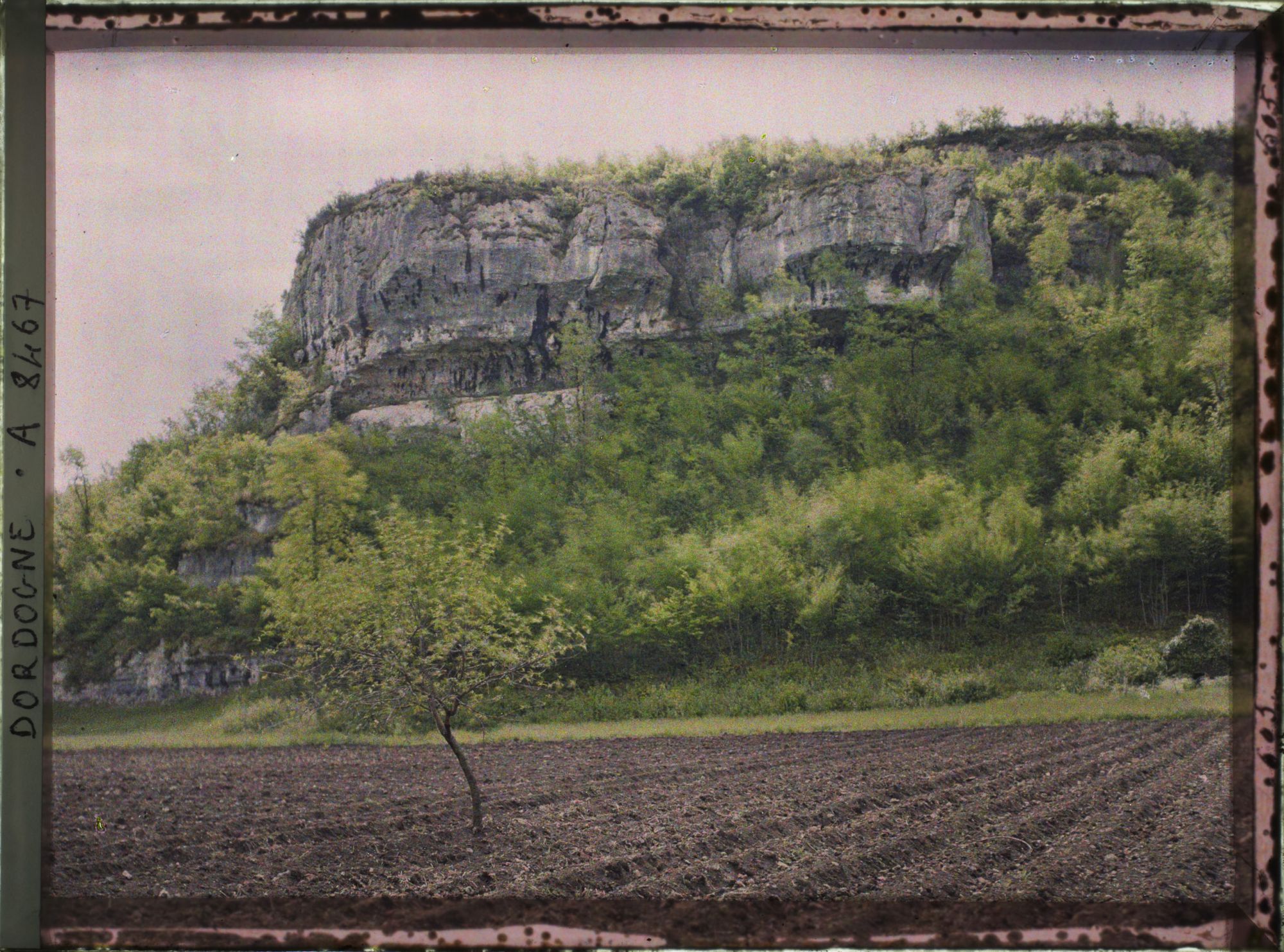 Image représentant France, Les Eyzies, La corniche du versant gauche du vallon de la Beune à l'entrée du vallon de Font de Gome