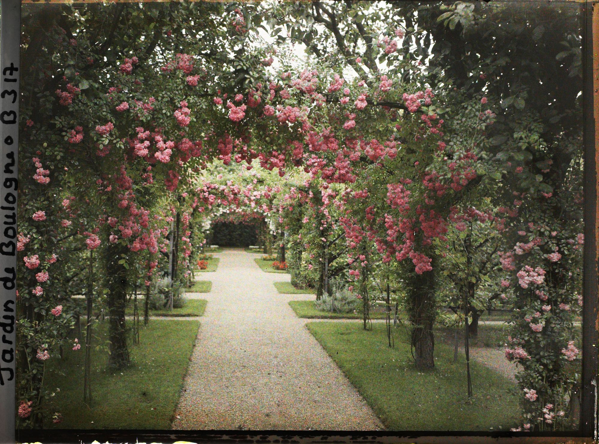 Image représentant Axe central du verger-roseraie vu vers la dépendance, après le rond-point proche du jardin français