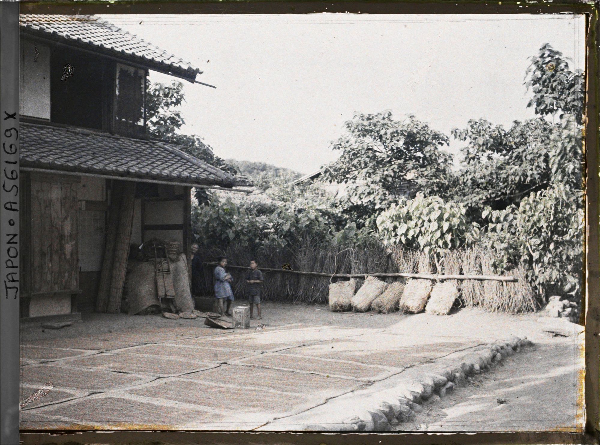 Image représentant Séchage du riz dans une cour de ferme