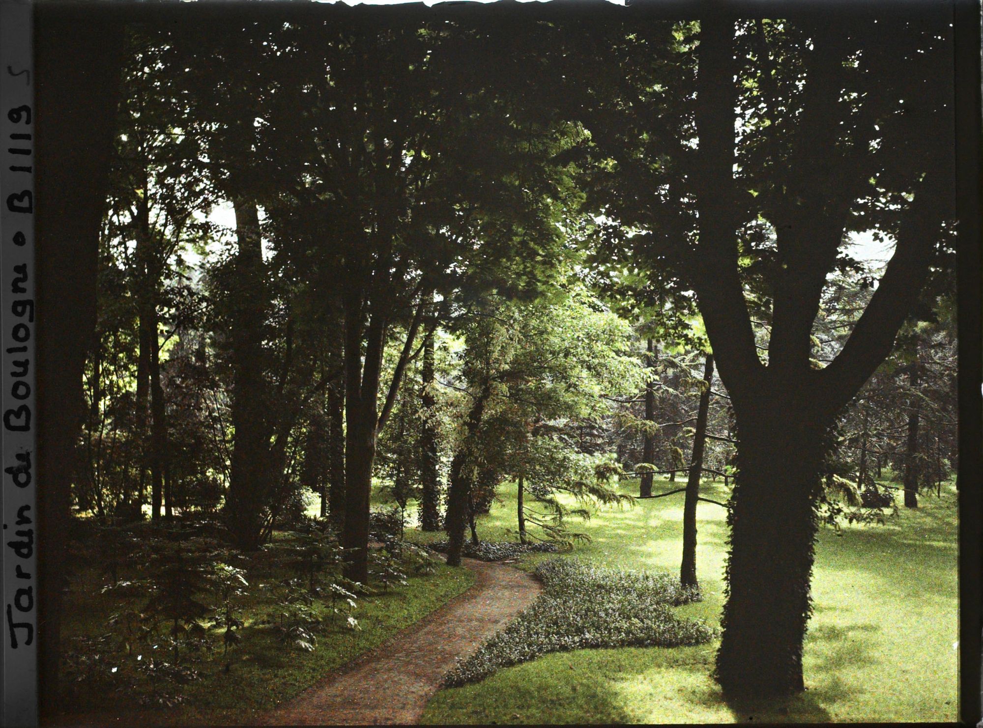 Image représentant Petite allée près de la grande pelouse