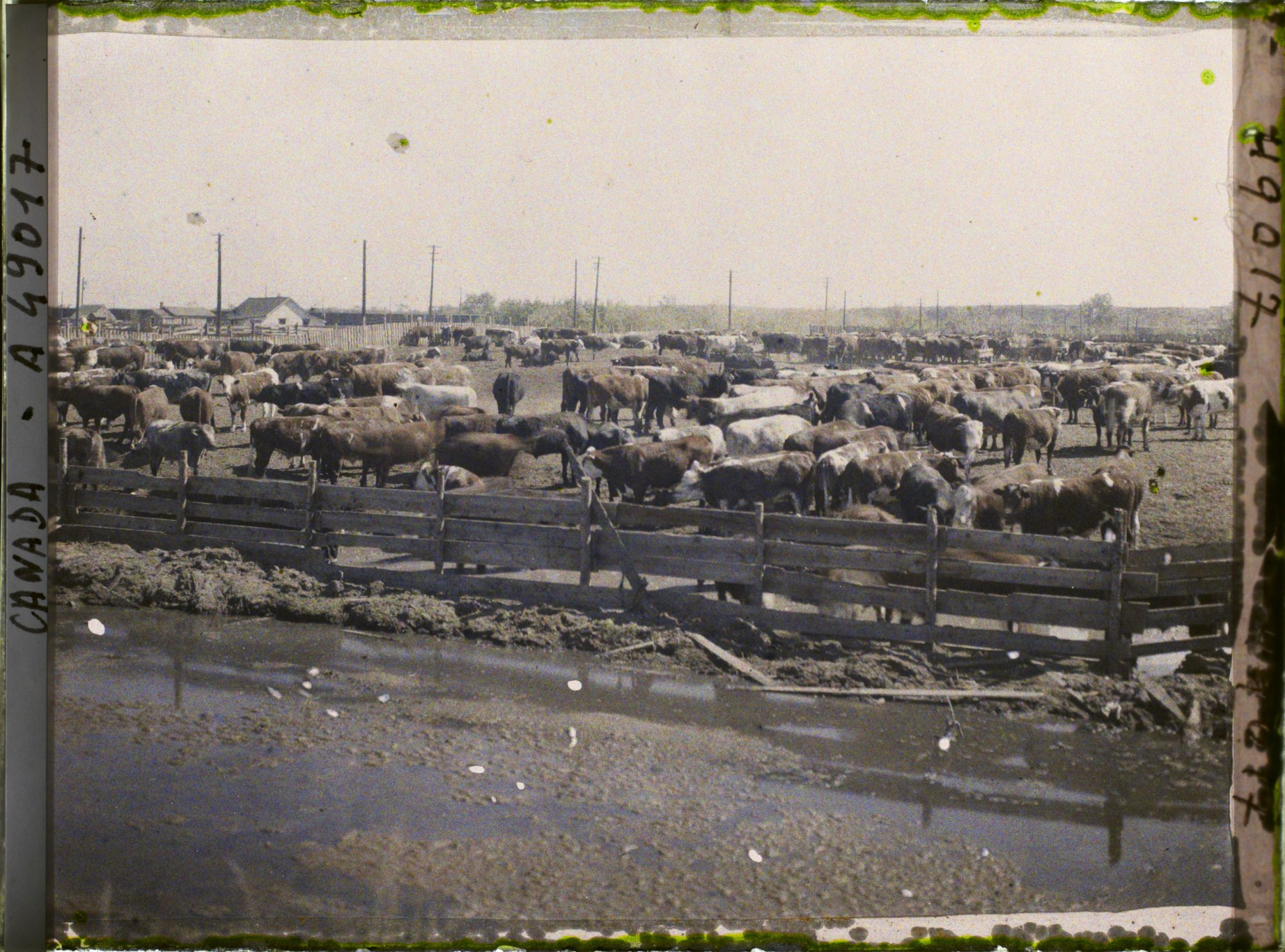 Image représentant Canada, Calgary, Stockyards - Parc de repos du bétail