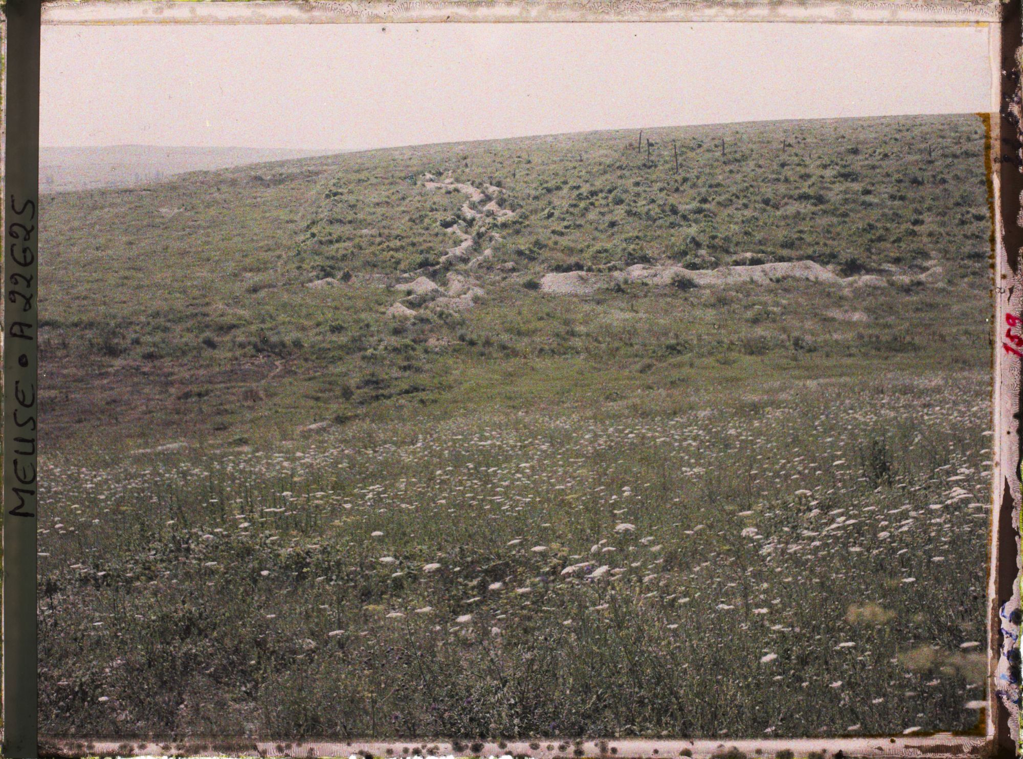 Image représentant France, Mort-Homme, Le bois des Caurettes