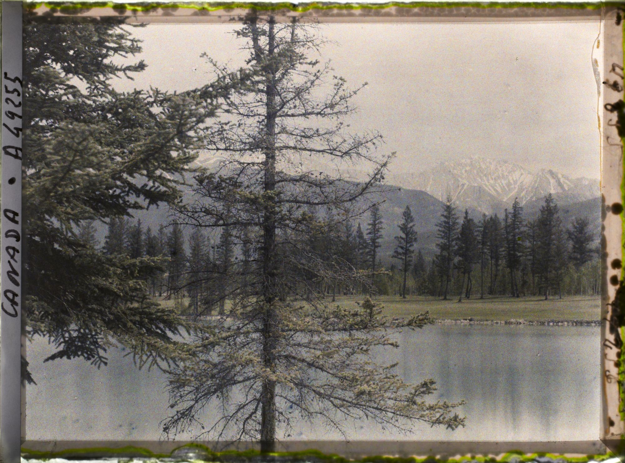 Image représentant Canada, Jasper-Parc, Vue vers le Vieil Homme