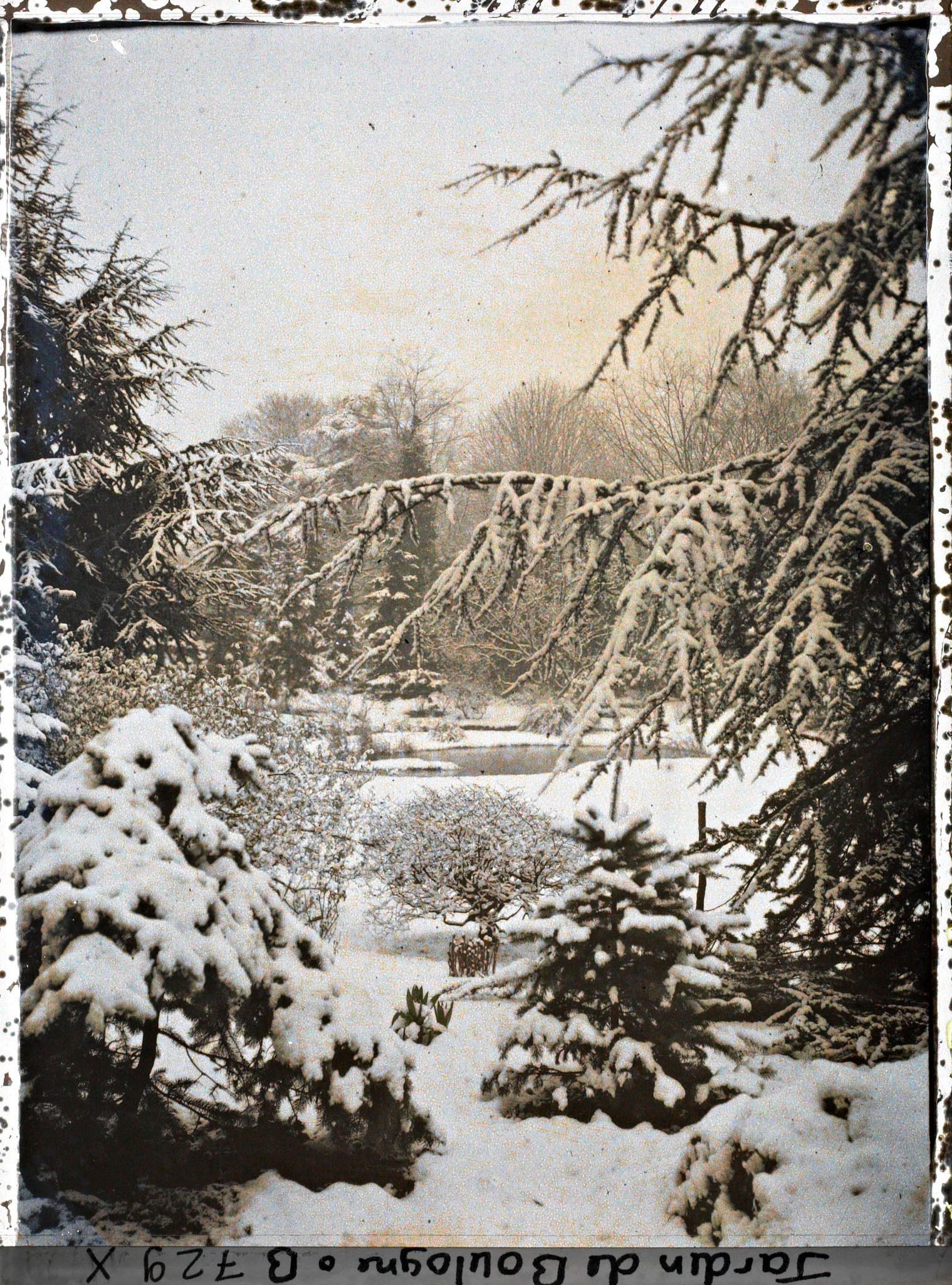 Image représentant Forêt bleue et Marais sous la neige