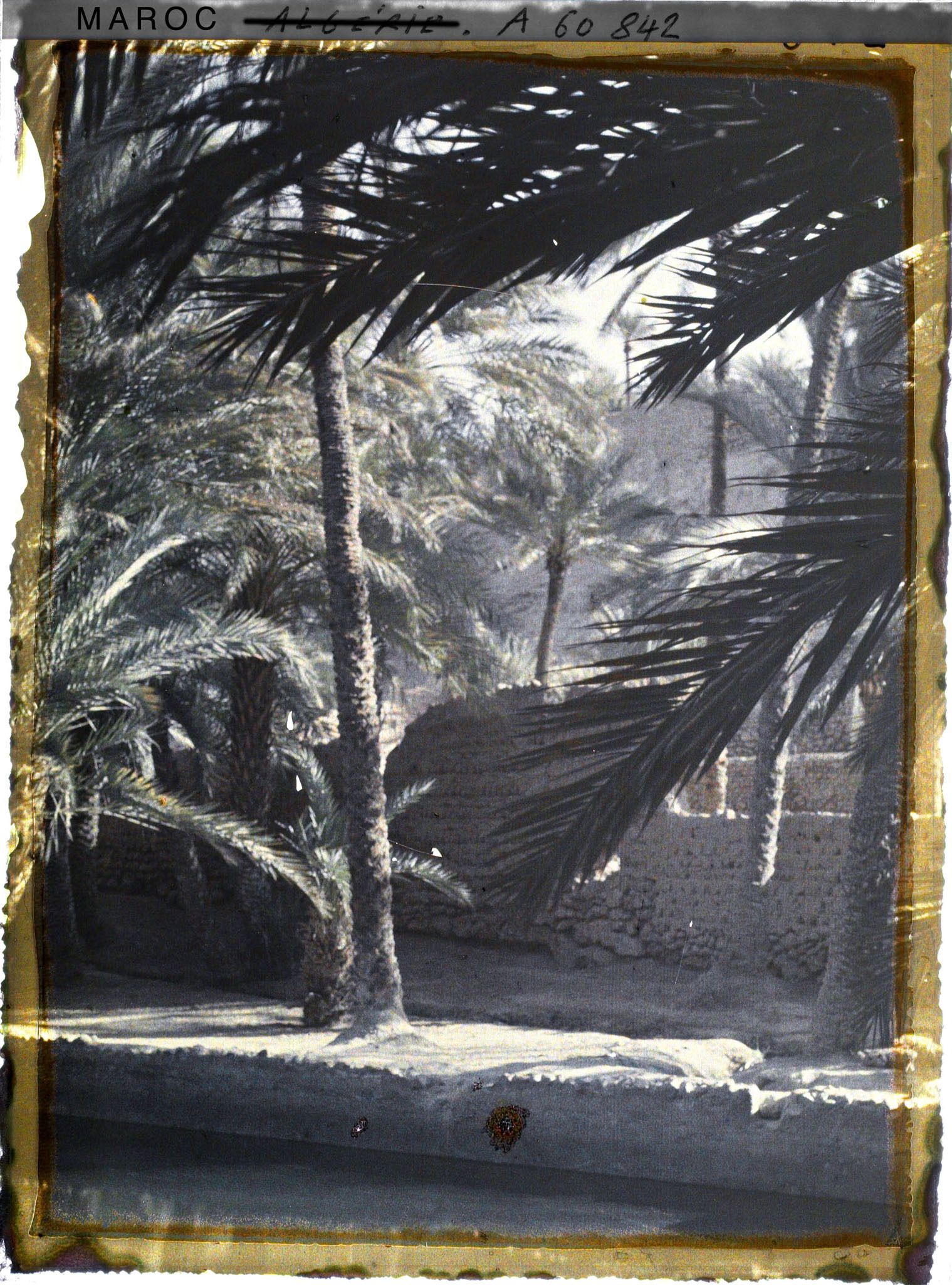 Image représentant Un bassin de retenue dans l'oasis de Zenaga