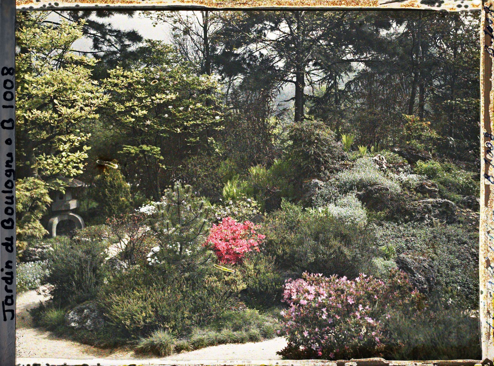 Image représentant Rocaille fleurie à la jonction de chemins du " sanctuaire japonais " proches du verger-roseraie