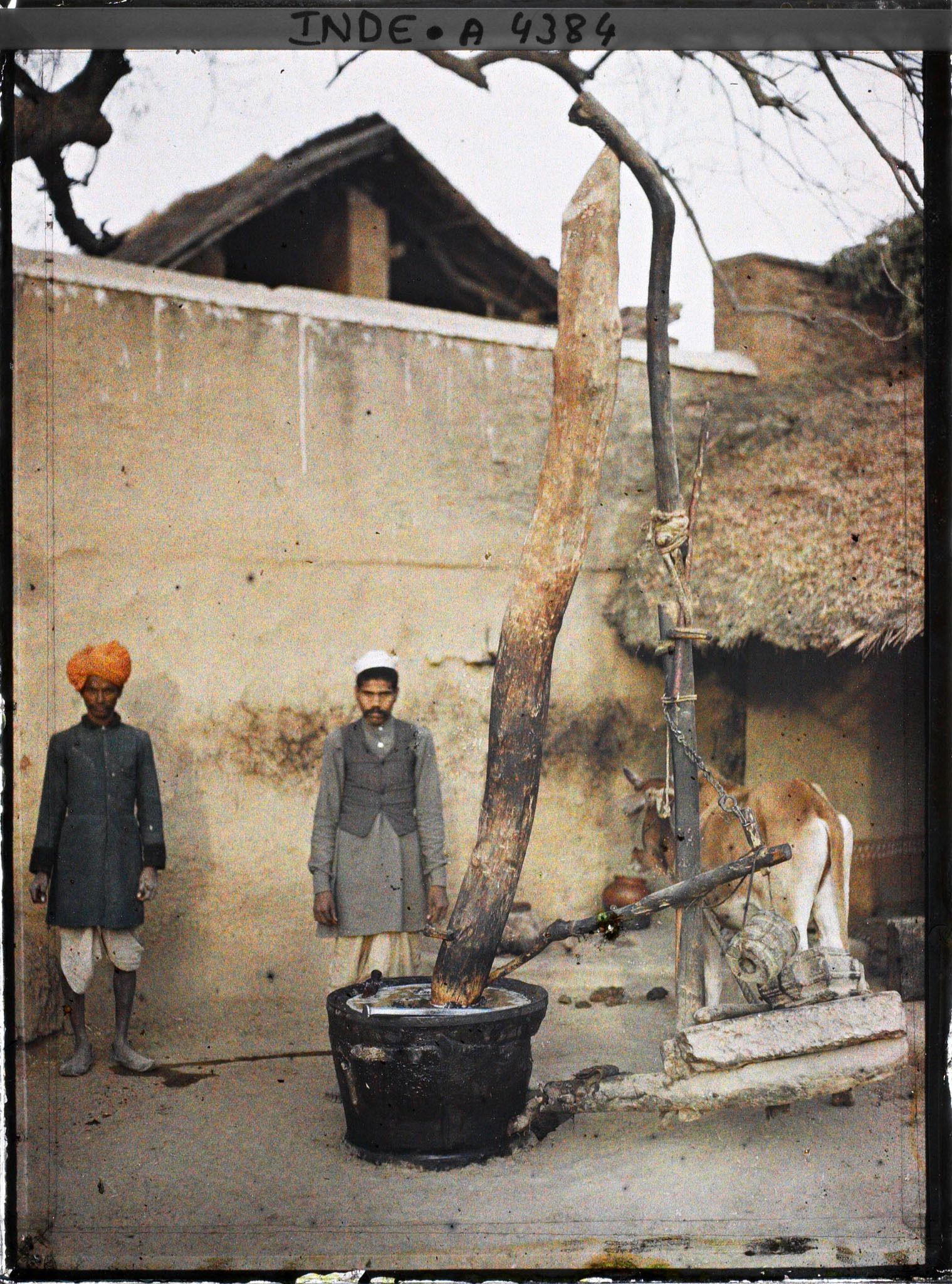 Image représentant Une fabrique d'huile: le pressoir