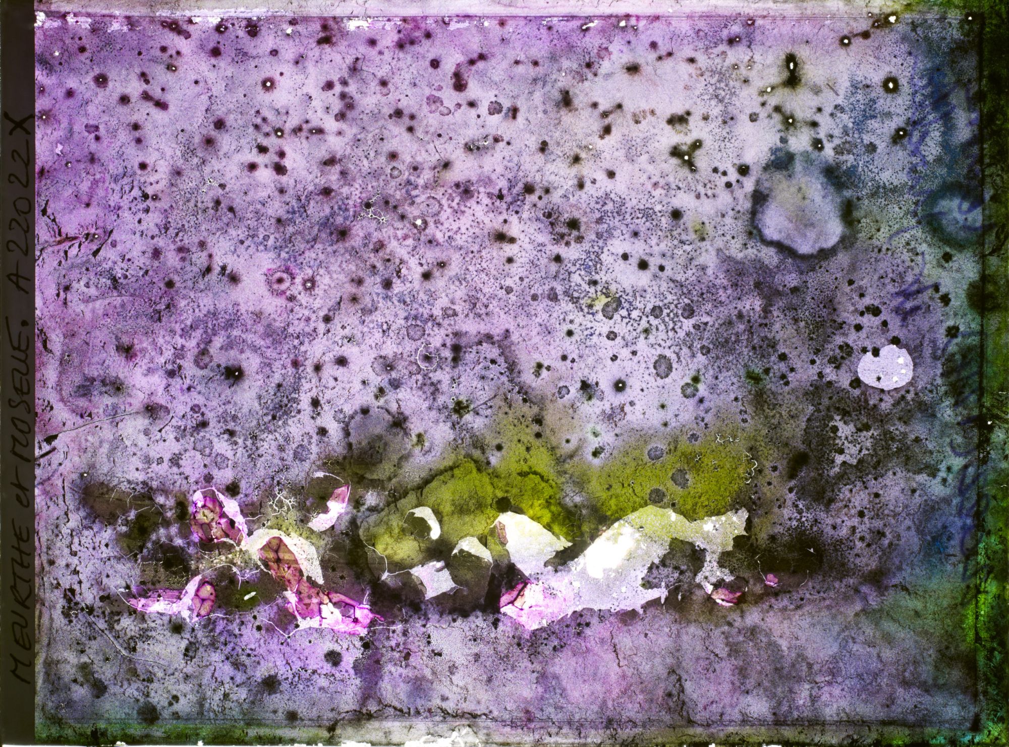 Image représentant Image illisible, plaque endommagée par l'eau (altérations d'époque)