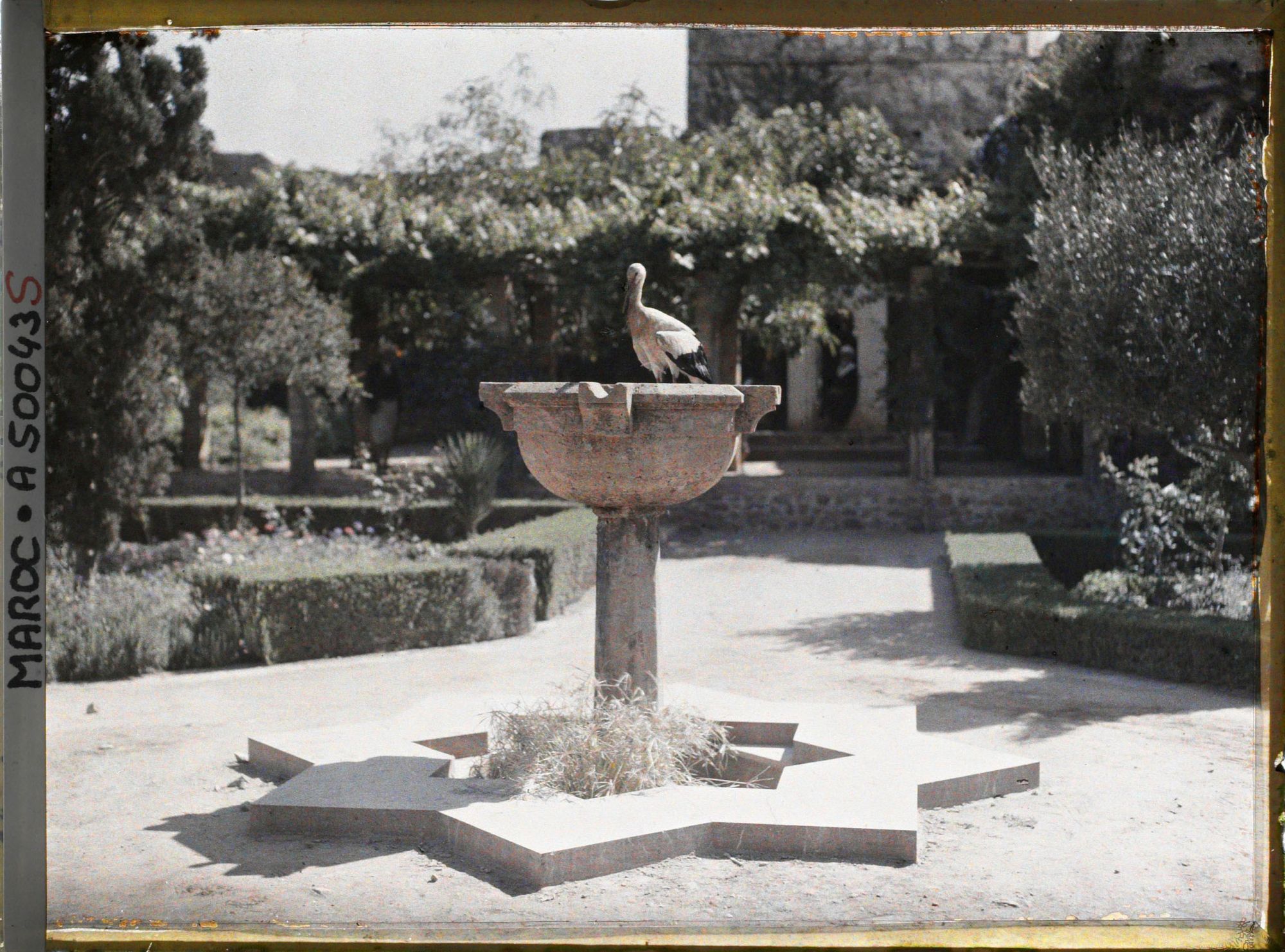 Image représentant Cigogne sur une vasque du jardin de la médersa dans la casbah des Oudaïa