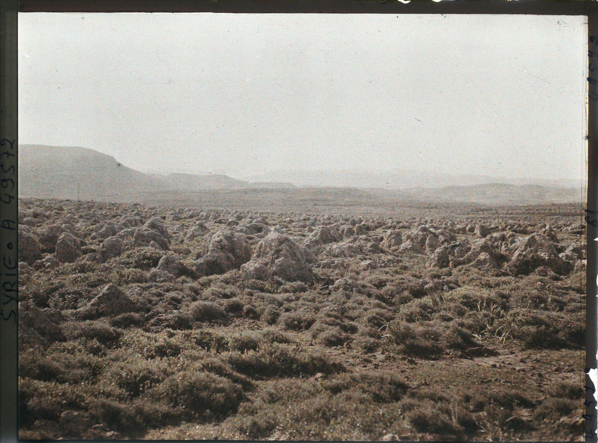 Image représentant Paysage non loin d'Enfé ou Chekka