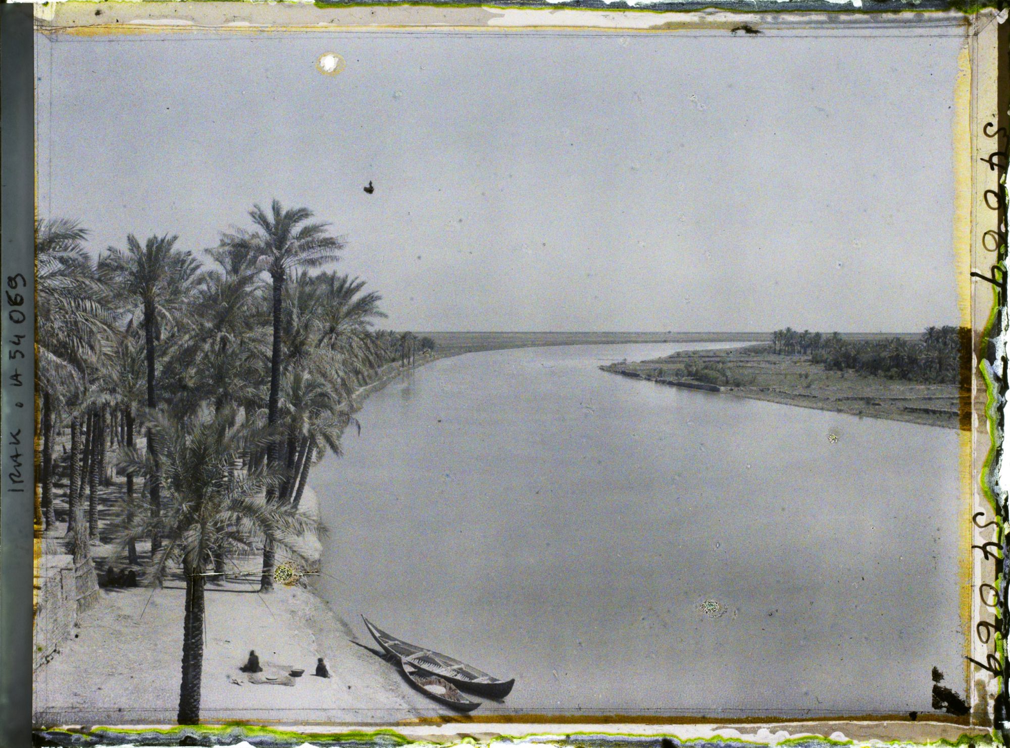 Image représentant Le Tigre