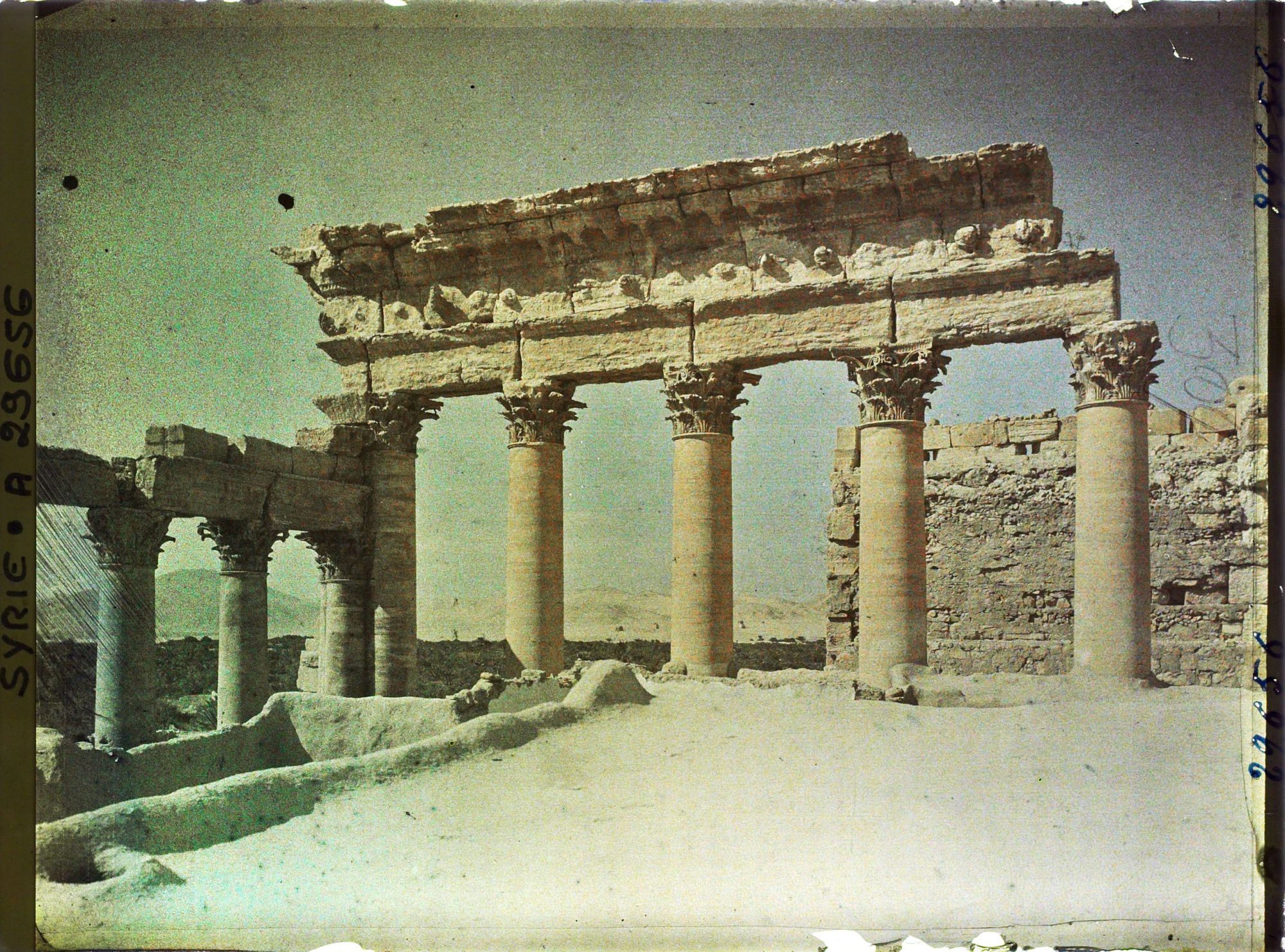 Image représentant Colonnade occidentale du Temple de Bêl