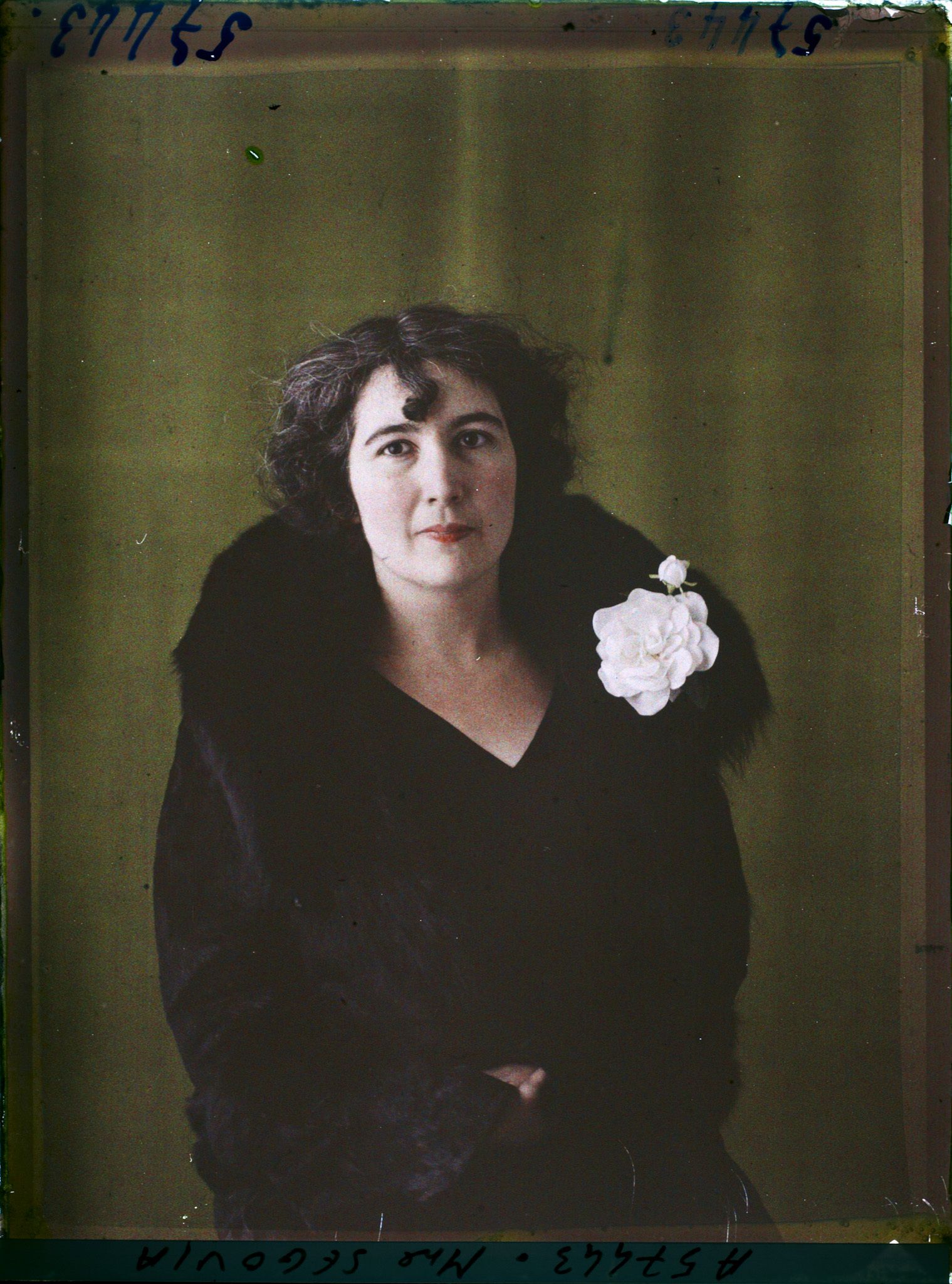 Image représentant Madame Ségovia