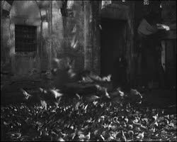 Image représentant Aspects de la ville et arrivée du Calife au Selamlik