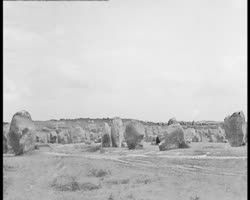 Image représentant La baie et les alignements