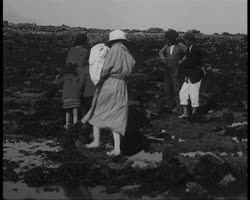 Image représentant Fête des Cormorans