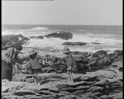 Image représentant L'industrie du goémon, les rochers