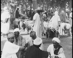 Image représentant Algérie