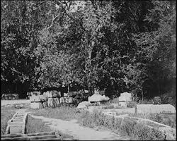 Image représentant Le marché, les Alyscamps, les arènes, Sainte Trophine, le cloître