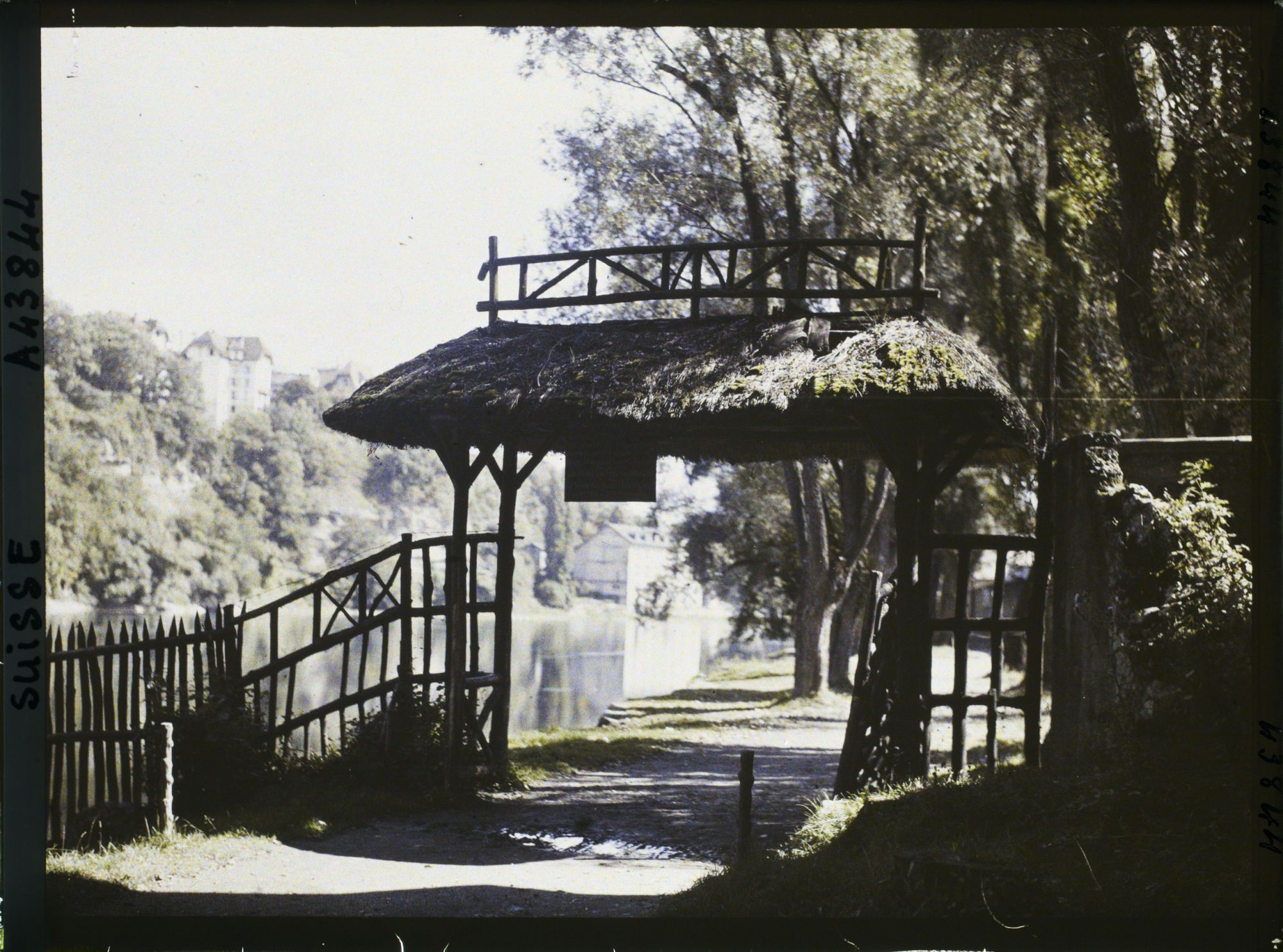 Image représentant Le Rhône et le sentier des Saules