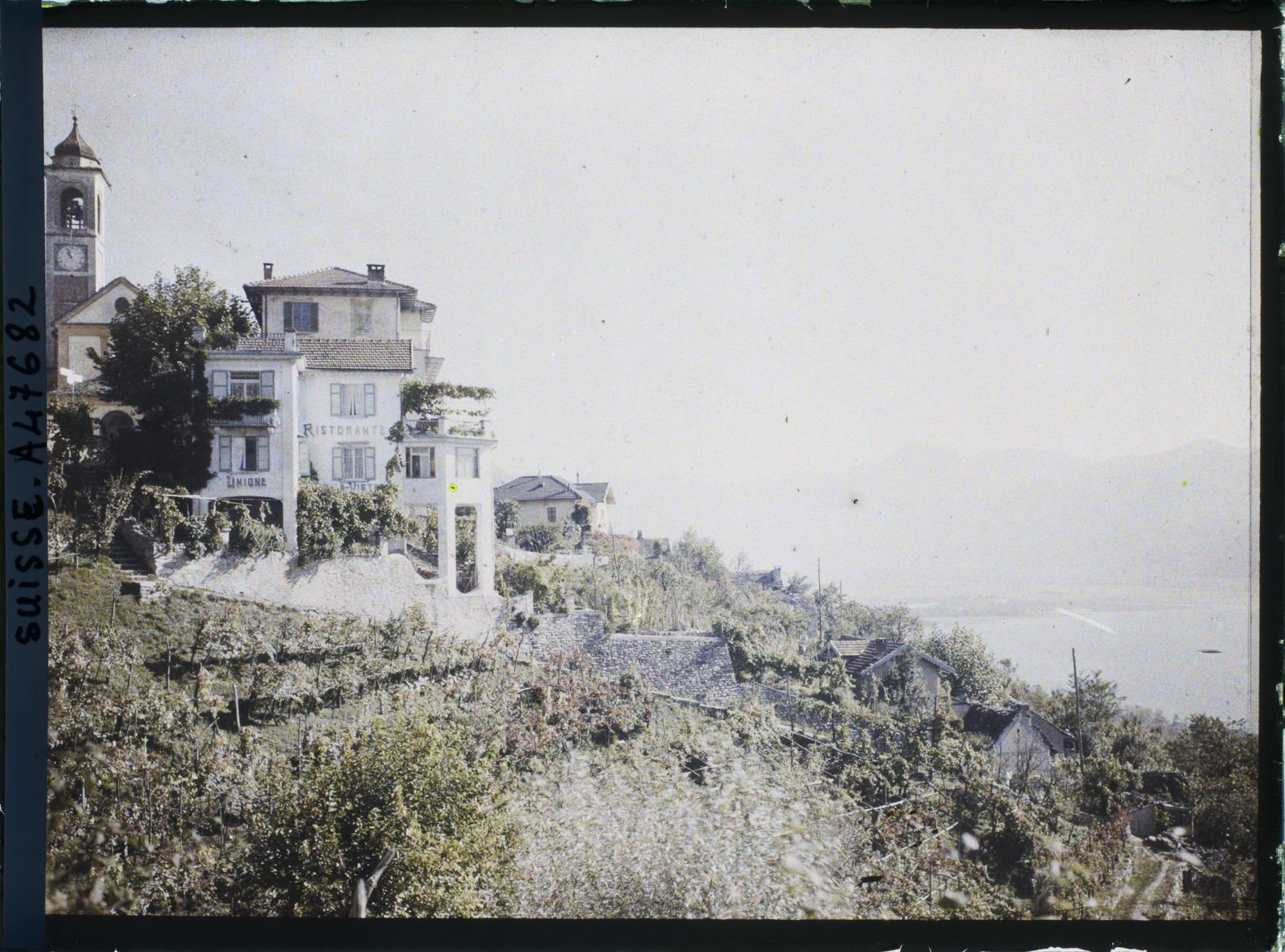 Image représentant Panorama sur Orselina, l'église Saint-Bernard et le lac Majeur
