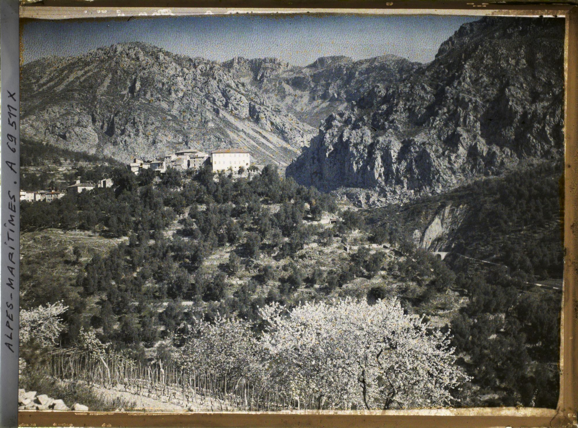 Image représentant Panorama montagneux de Gorbio et du chateau des Comtes Malaussène