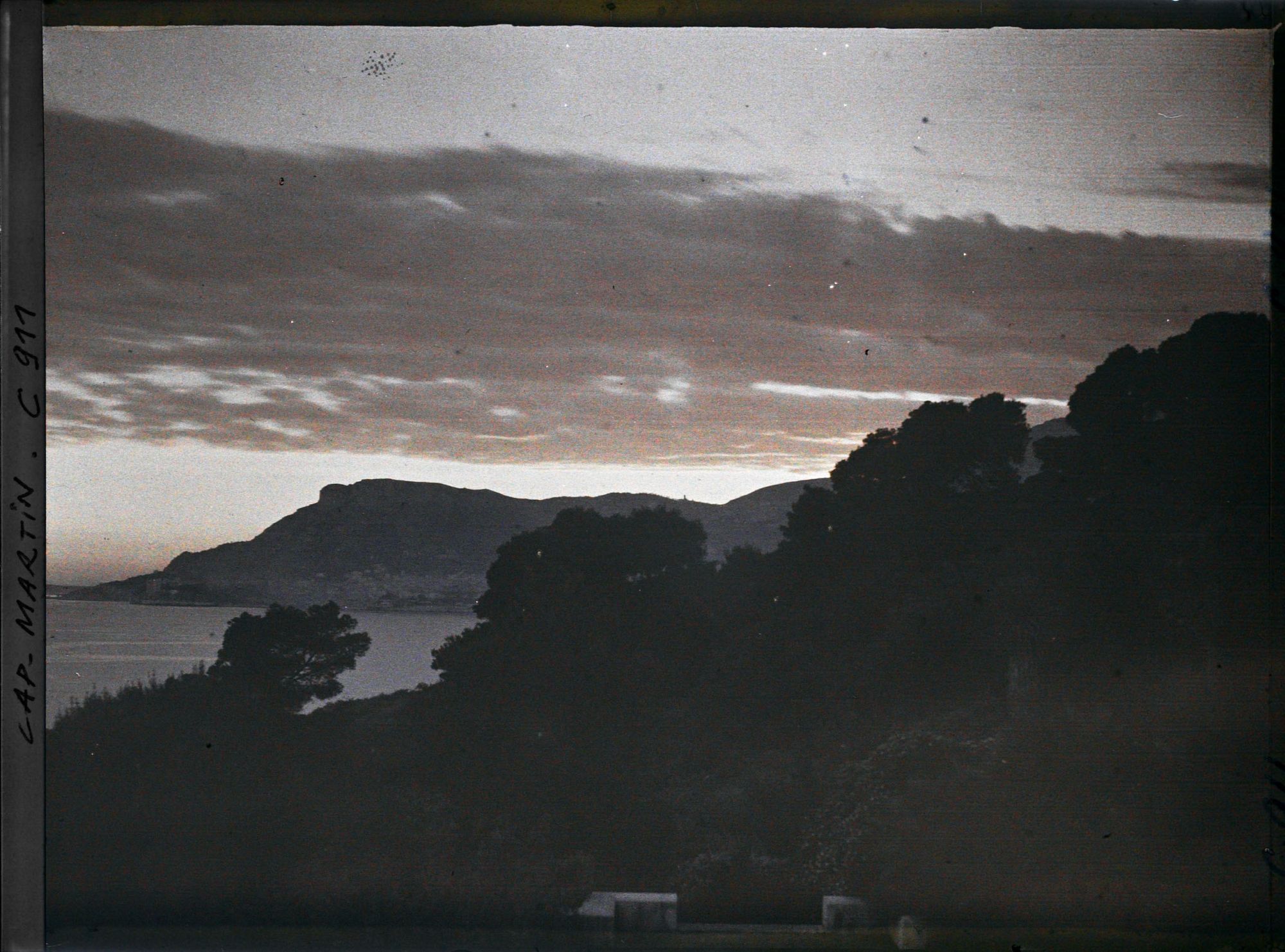 Image représentant Ligne arborée près de la villa Kahn, dite villa Zamir, se découpant à contre-jour vers Monaco