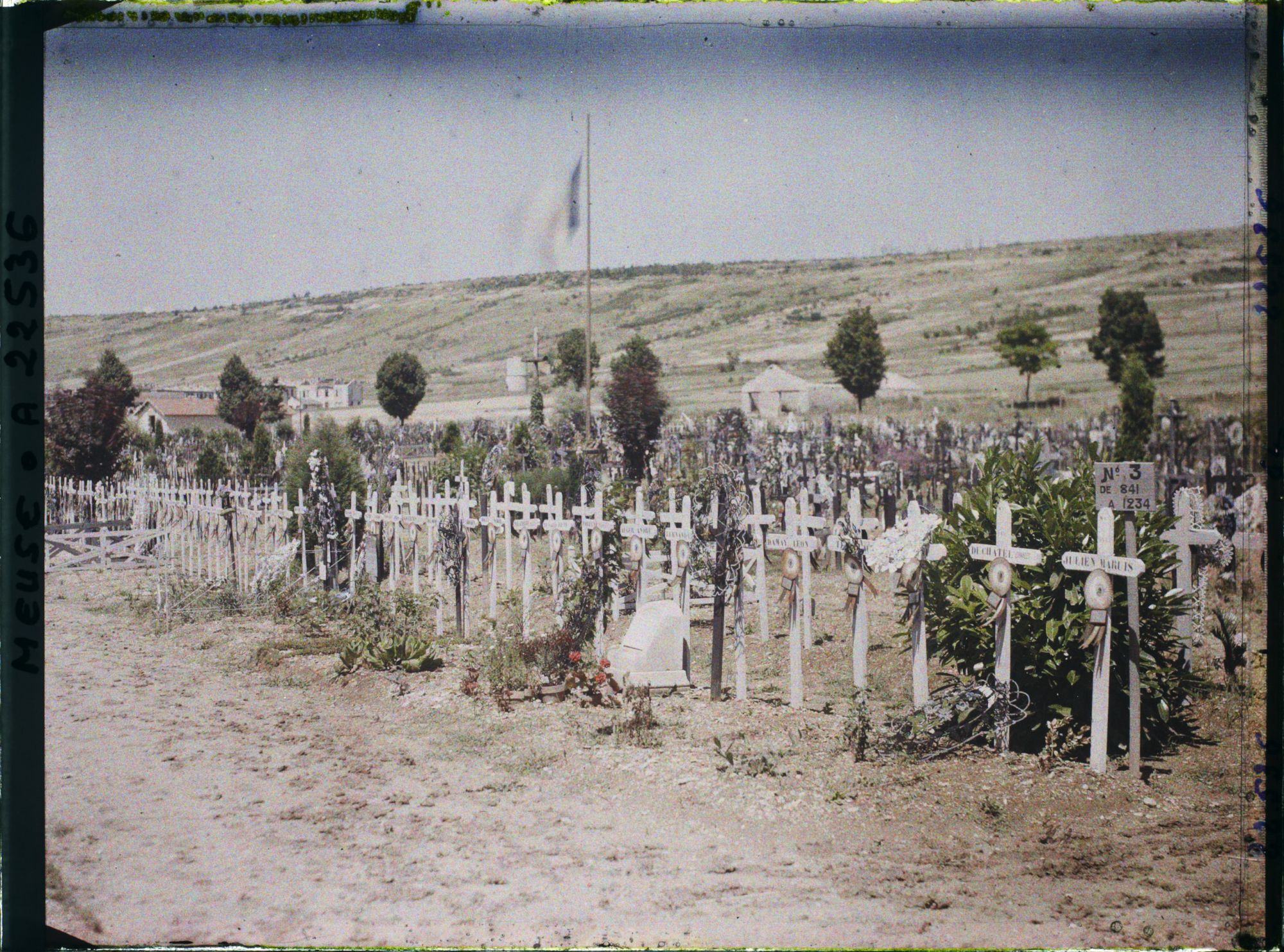 Image représentant France, Verdun, Une allée du Cimetière militaire du faubourg Pavé