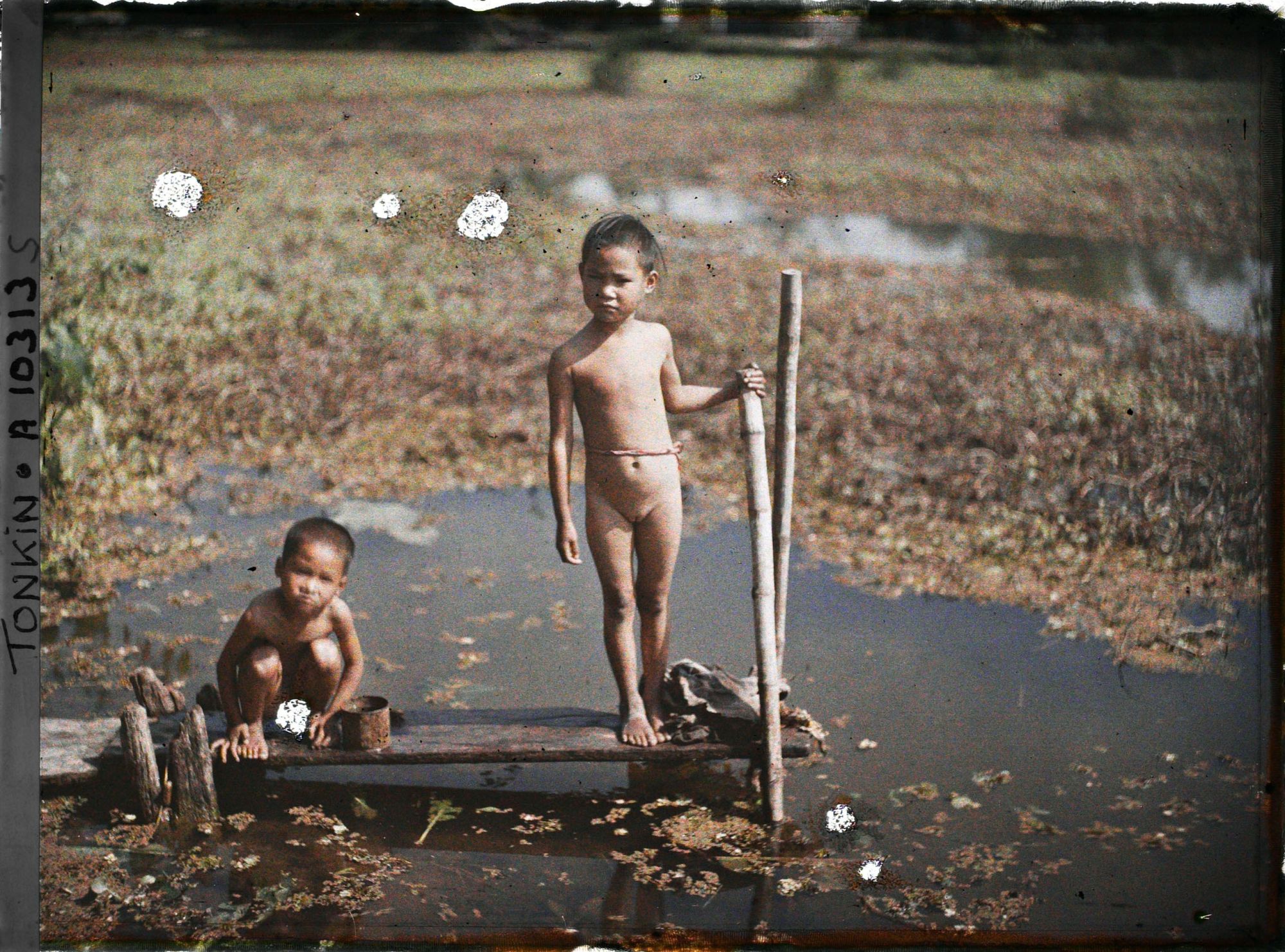 Image représentant Des enfants à la baignade dans un étang partiellement recouvert de liserons d'eau