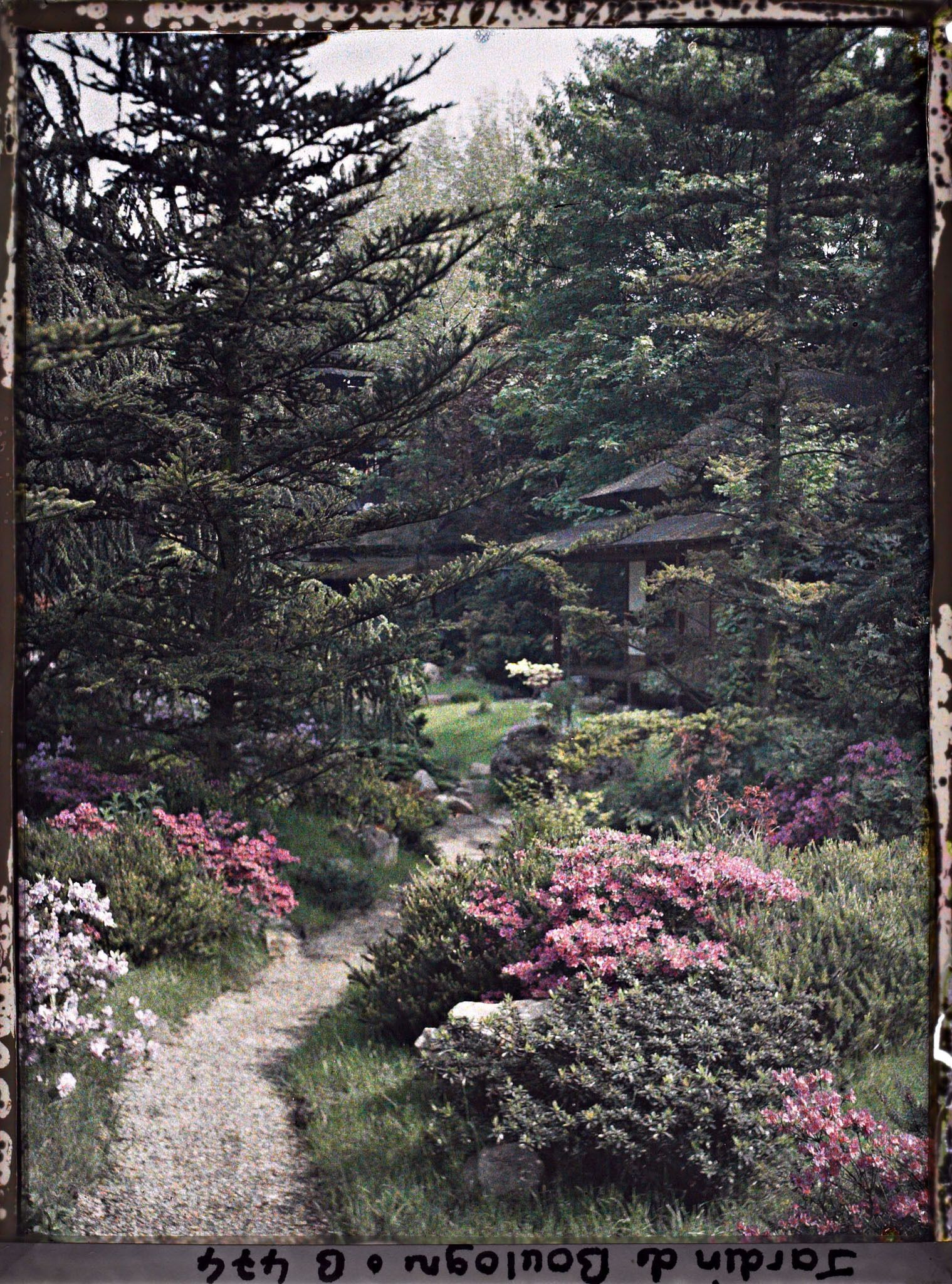 Image représentant Étroit chemin ombragé, orné de pierres et d'azalées, menant à la maison ouest du " village japonais "