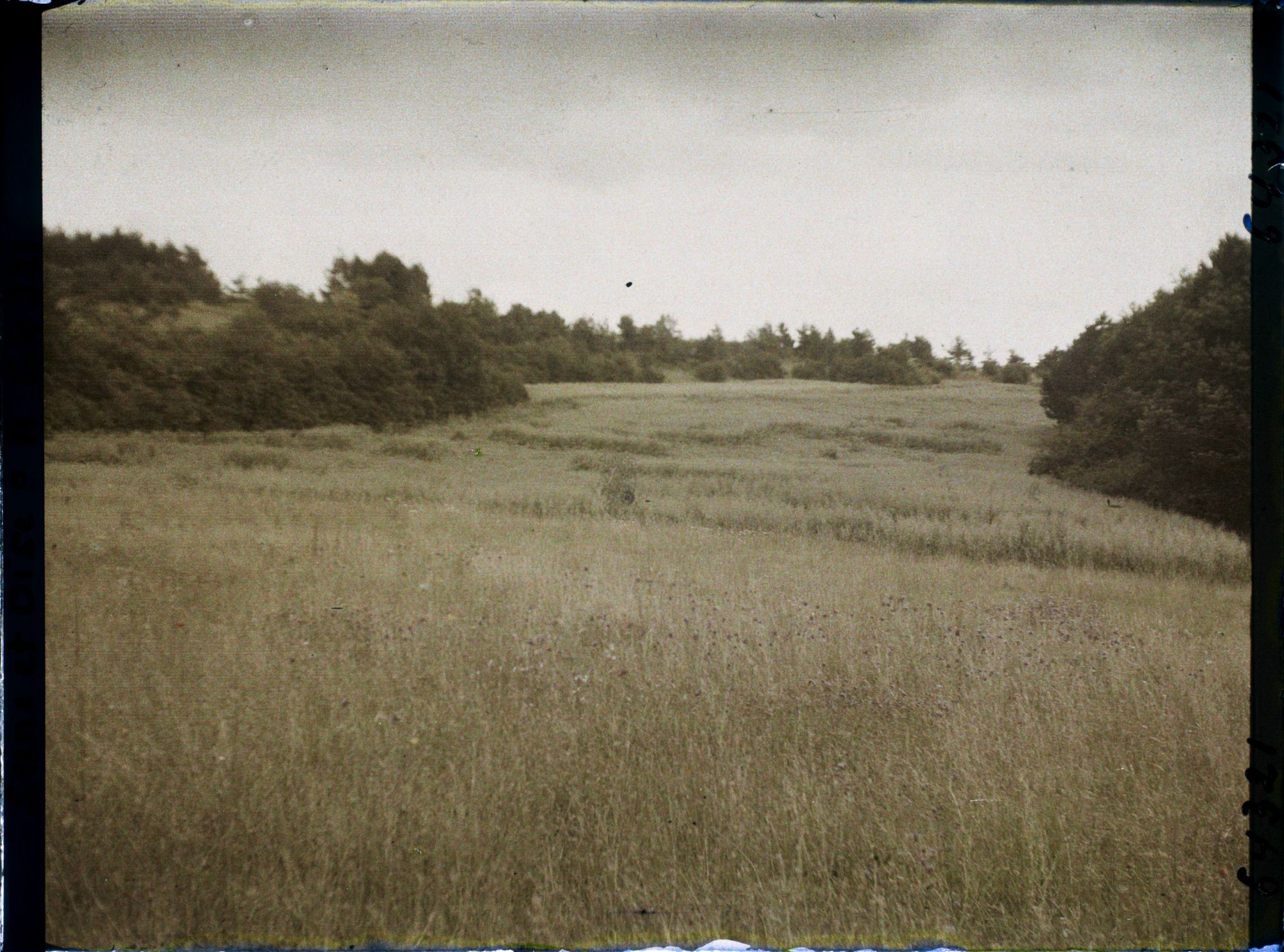 Image représentant Ile de France, Vallangoujard, Champ d'Avoine par Ciel Orageux