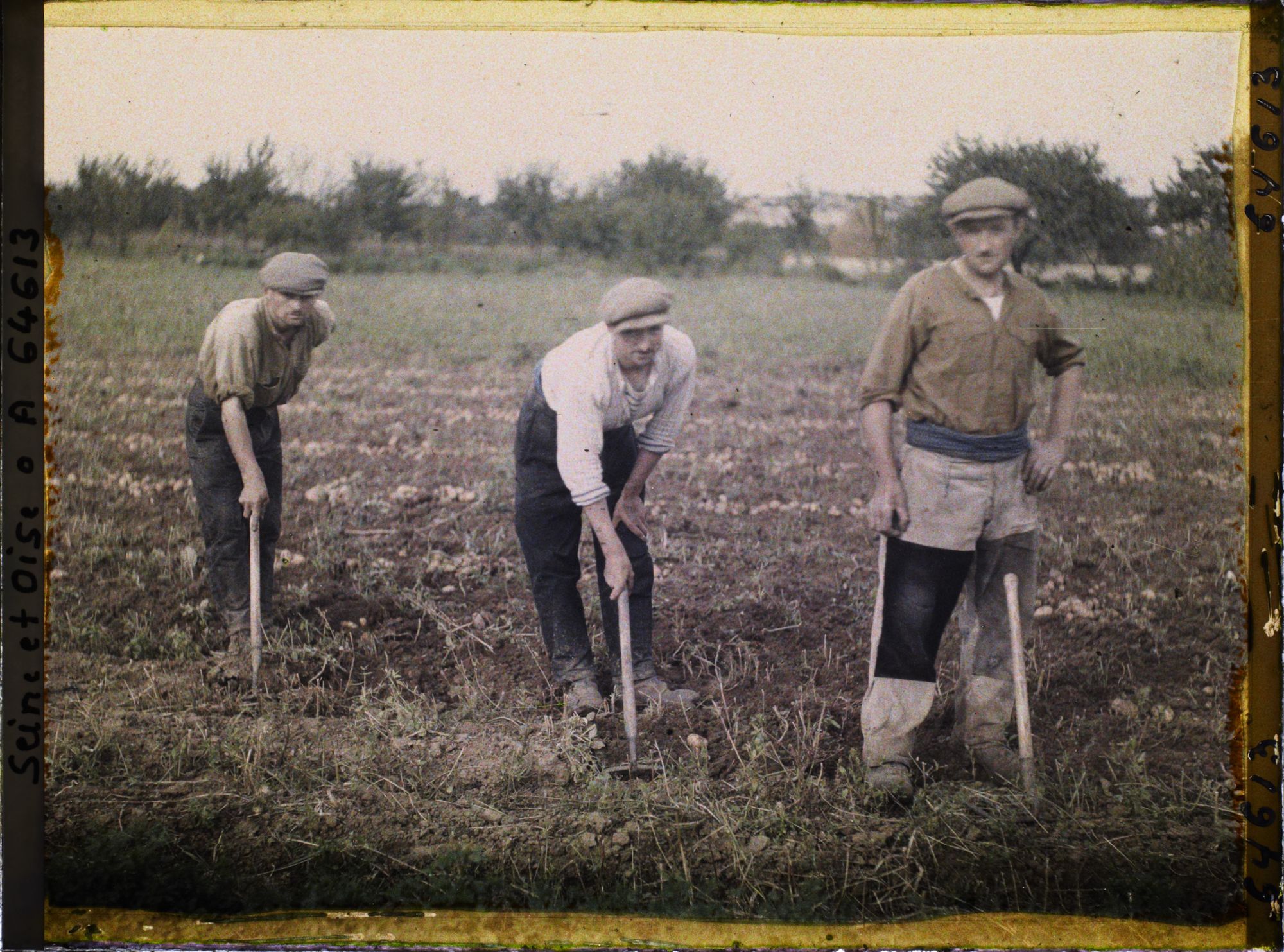 Image représentant Ouvriers Agricoles - arrachant les pommes de terre