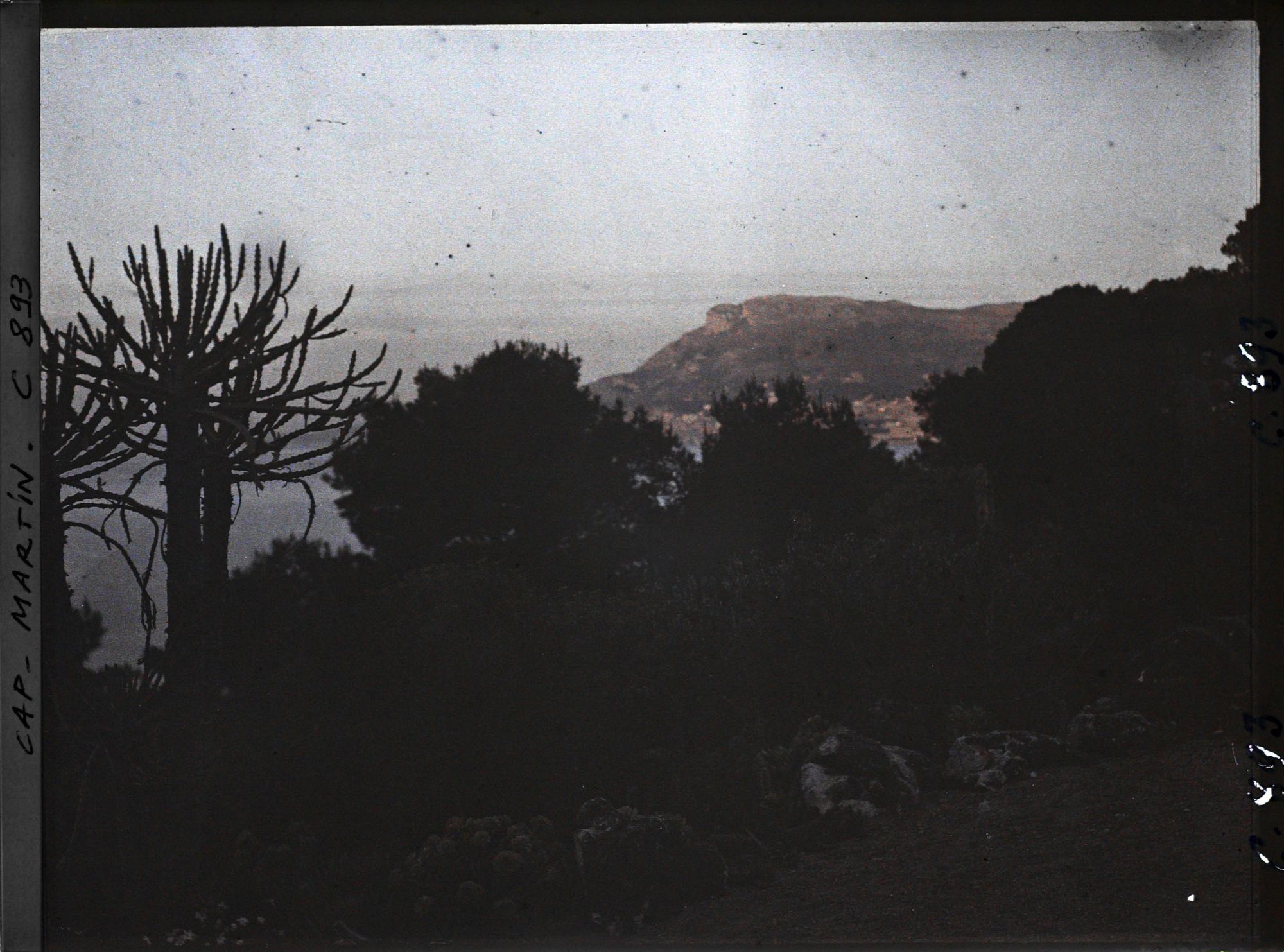 Image représentant Effet du matin s/ Monaco